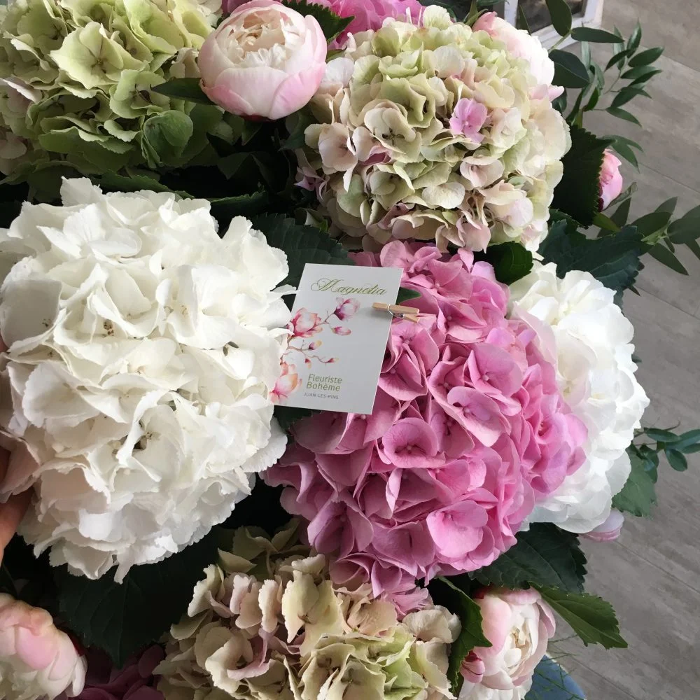 Pepite de saison, produit local: Les hortensias, par Magnolia Fleuriste, fleuriste à Antibes