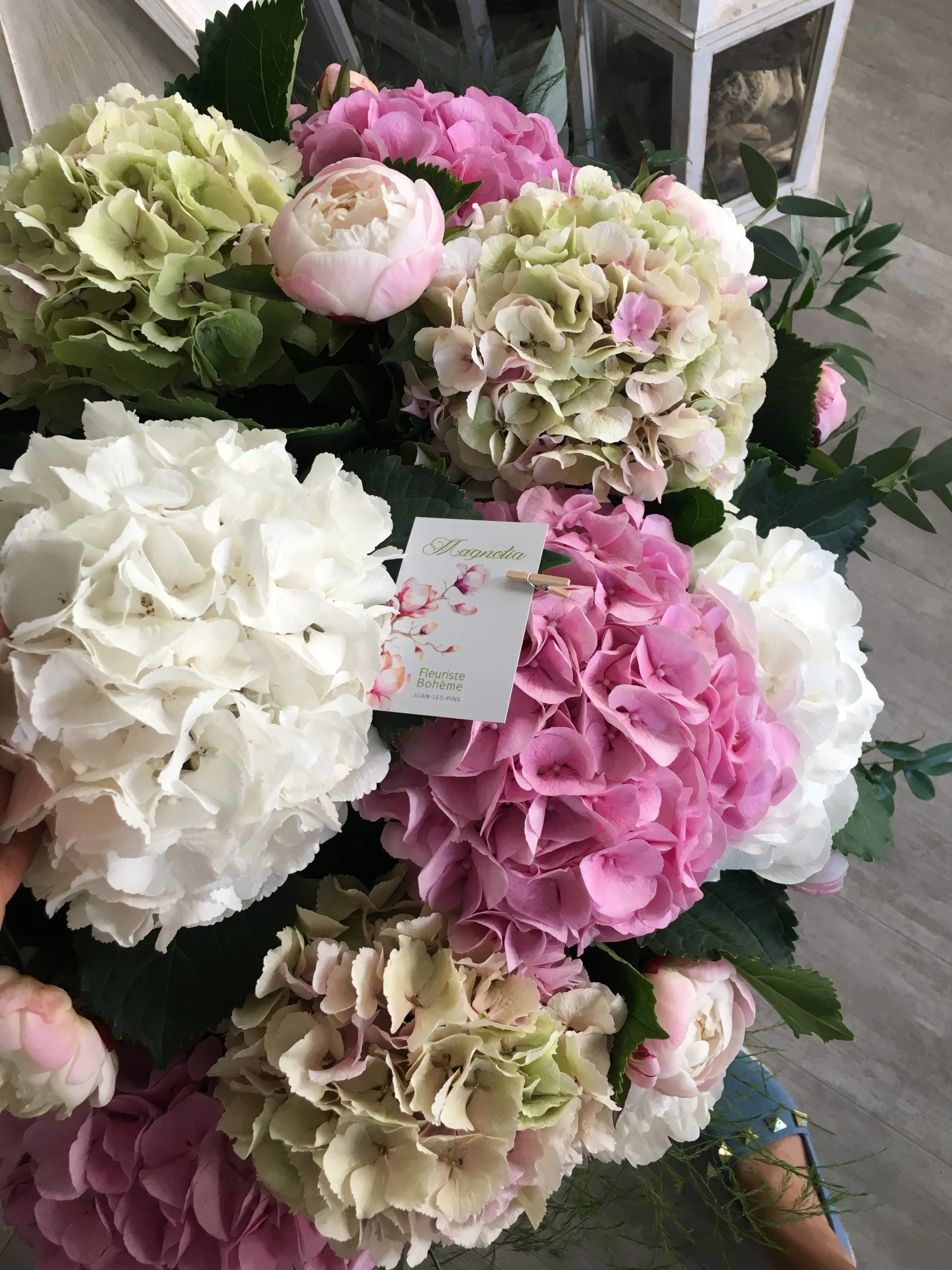 Pepite de saison, produit local: Les hortensias, par Magnolia Fleuriste, fleuriste à Antibes