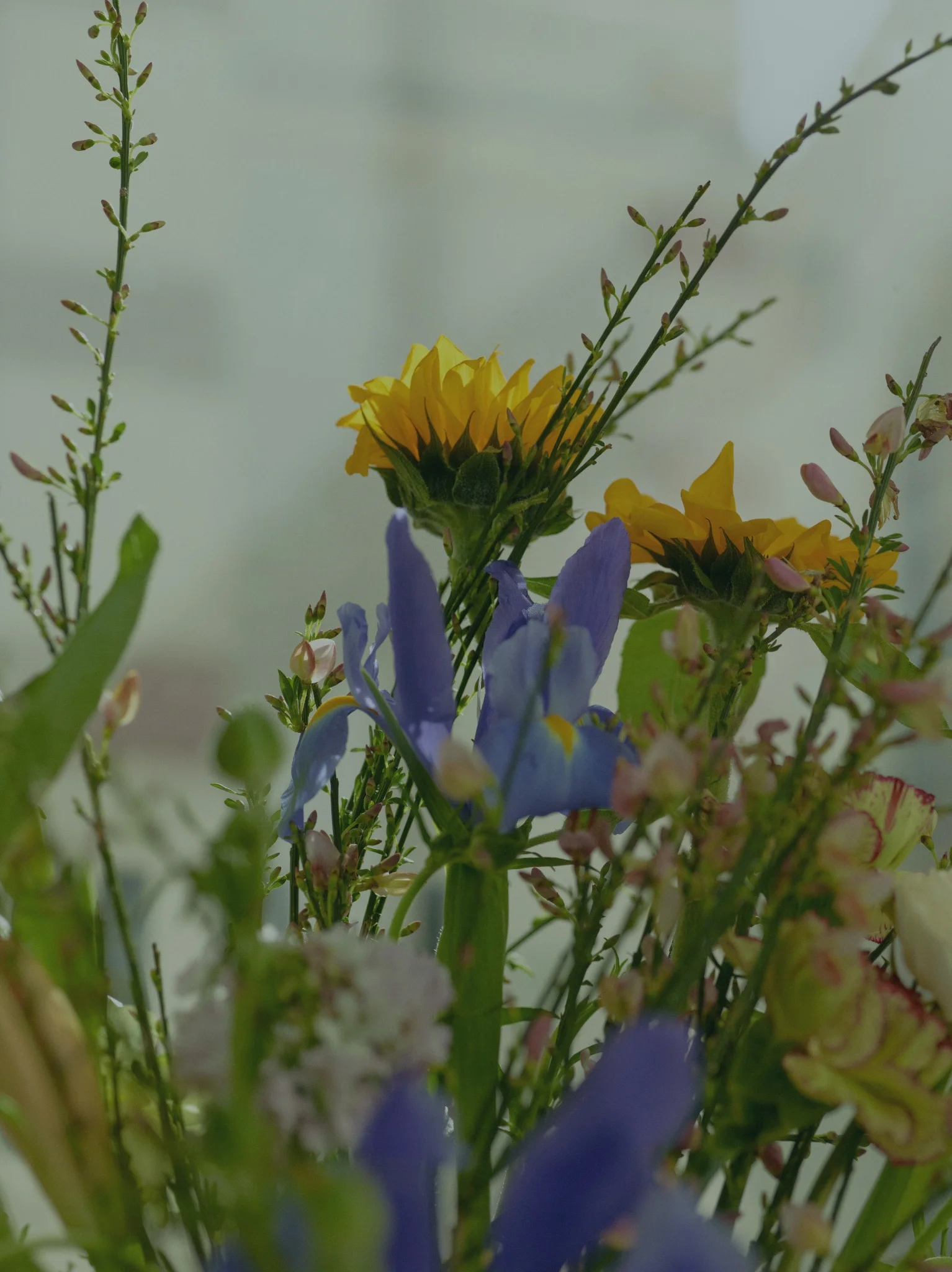 Pour souhaiter Bonne Fête, les plus belles fleurs livrées par votre artisan fleuriste