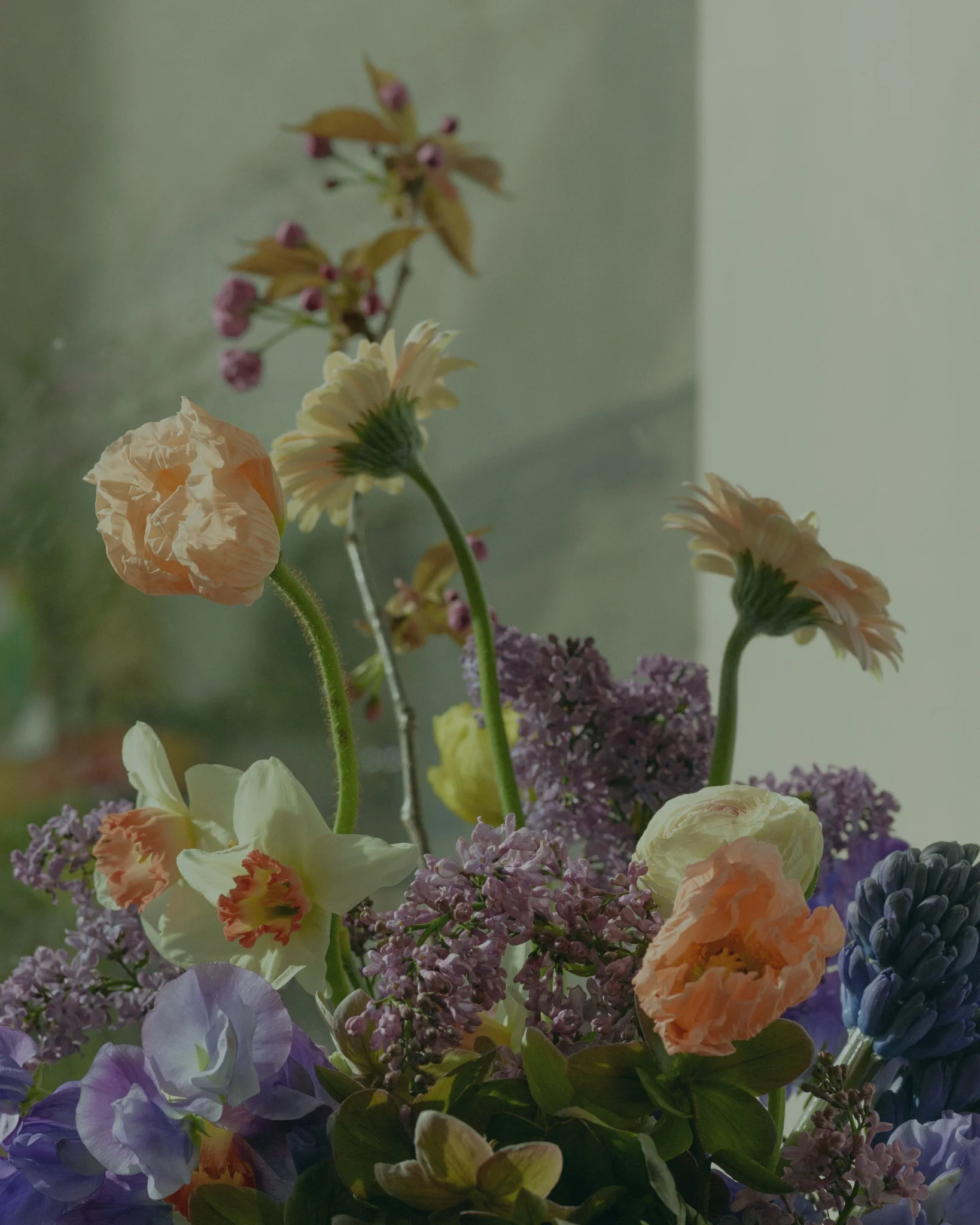 Découvrez nos bouquets Félicitations