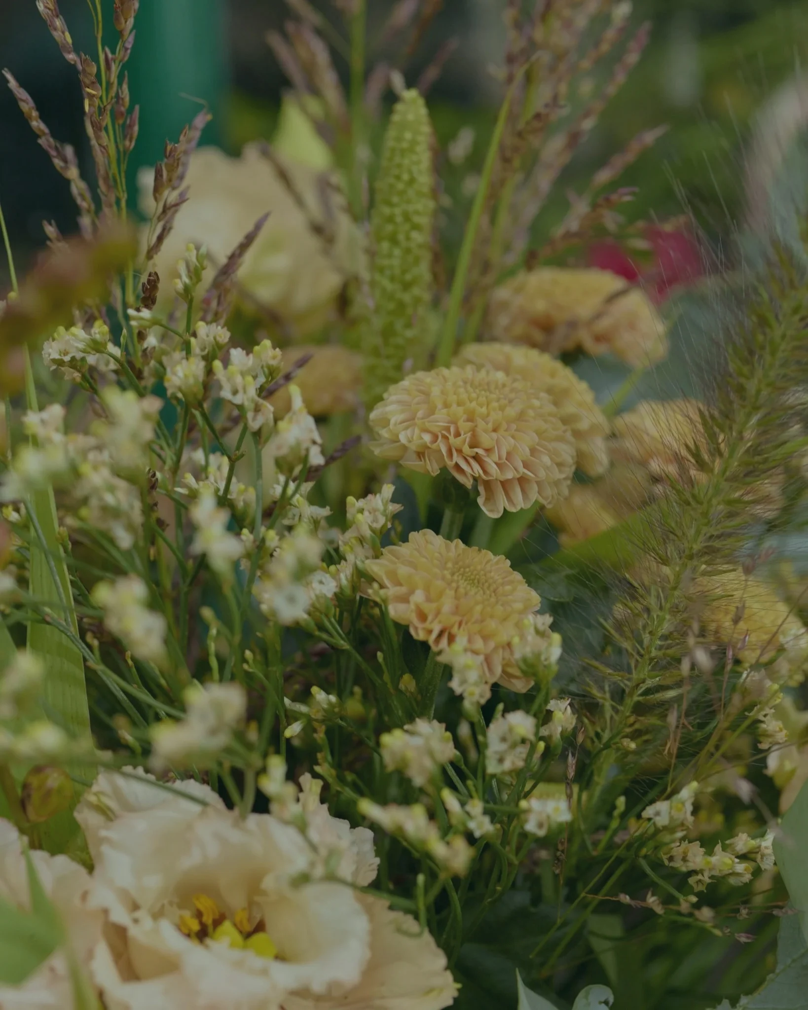 Les plus beaux bouquets Champêtres livrés par votre artisan fleuriste