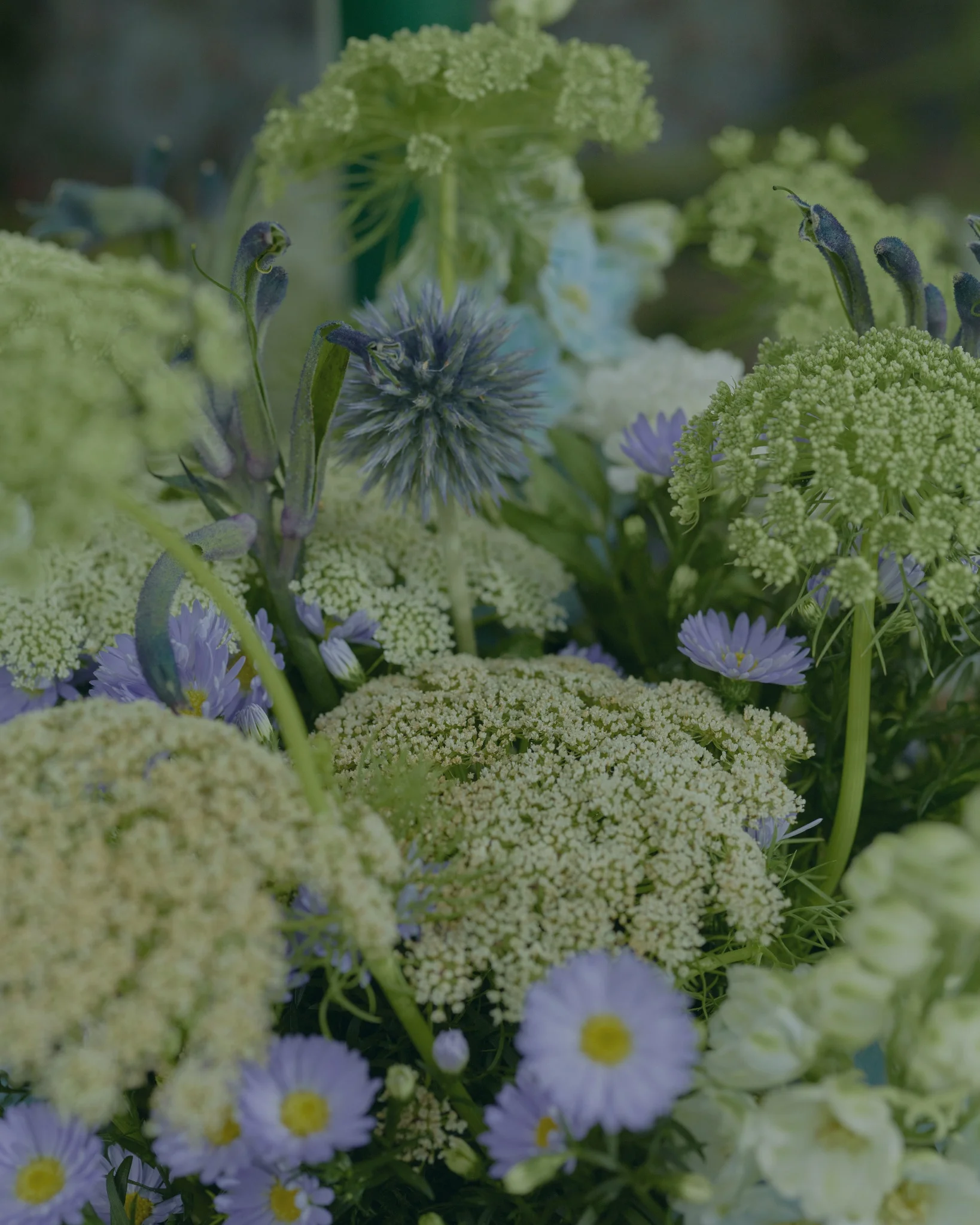 Pour la Fête des Pères, les plus belles fleurs livrées par votre artisan fleuriste