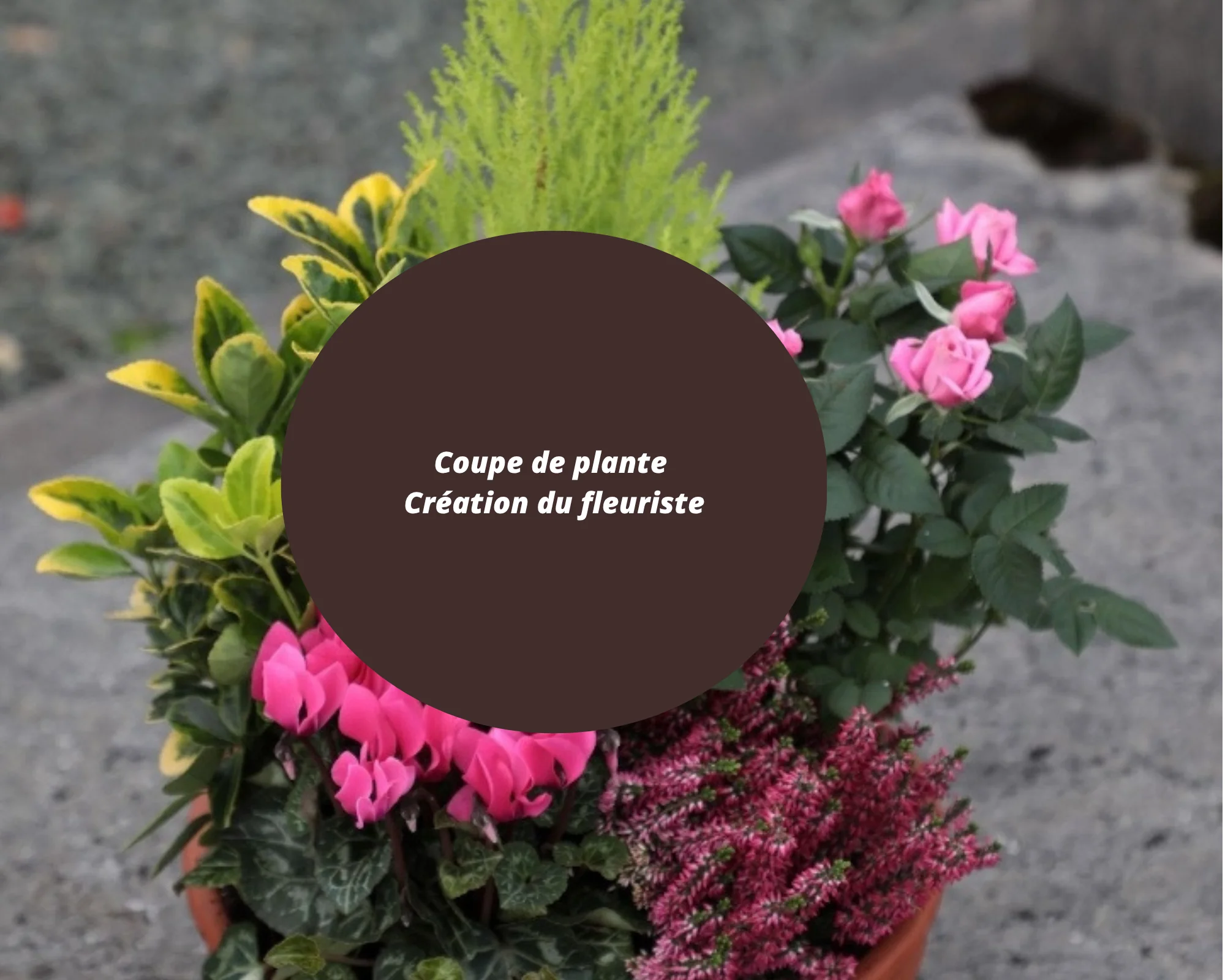 coupe de plantes souvenir du fleuriste, par Fleurs de Lotus, fleuriste à Le Havre