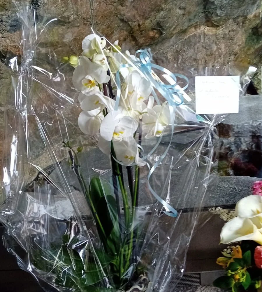ORCHIDÉE, par BOUTIQUE GENEVE FLEUR, fleuriste à Lourdes