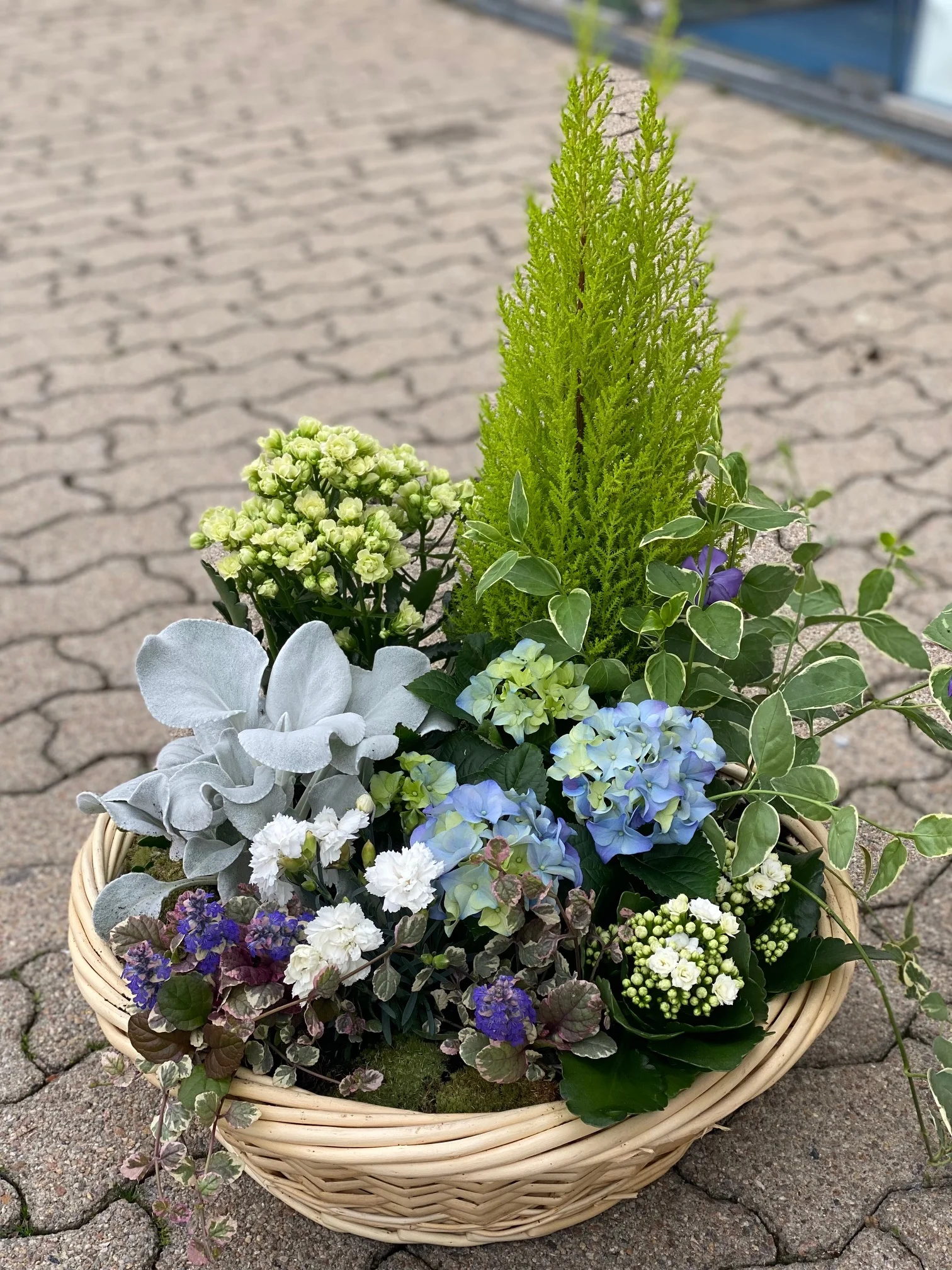 Coupe de plante, par Les Jolies Fleurs, fleuriste à La Rochelle