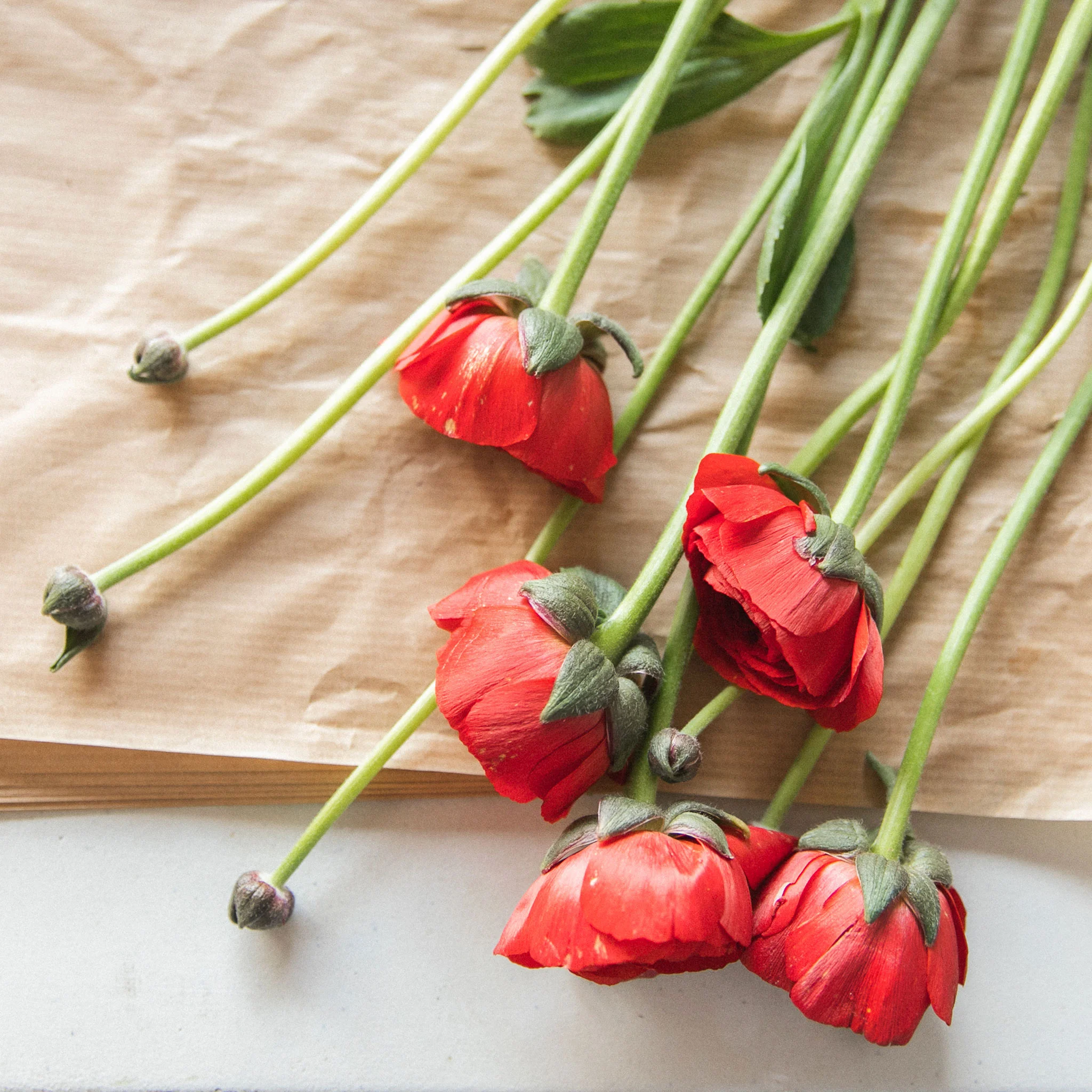 Les plus belles fleurs de saison livrées par votre artisan fleuriste