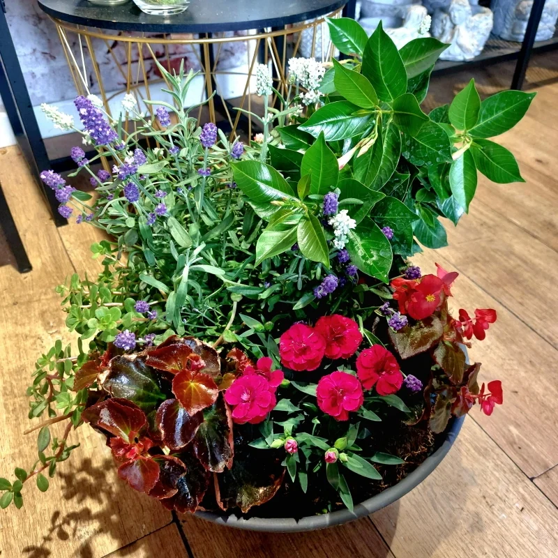 Coupe de plantes, par La Rose de Cascia, fleuriste à Vendeville