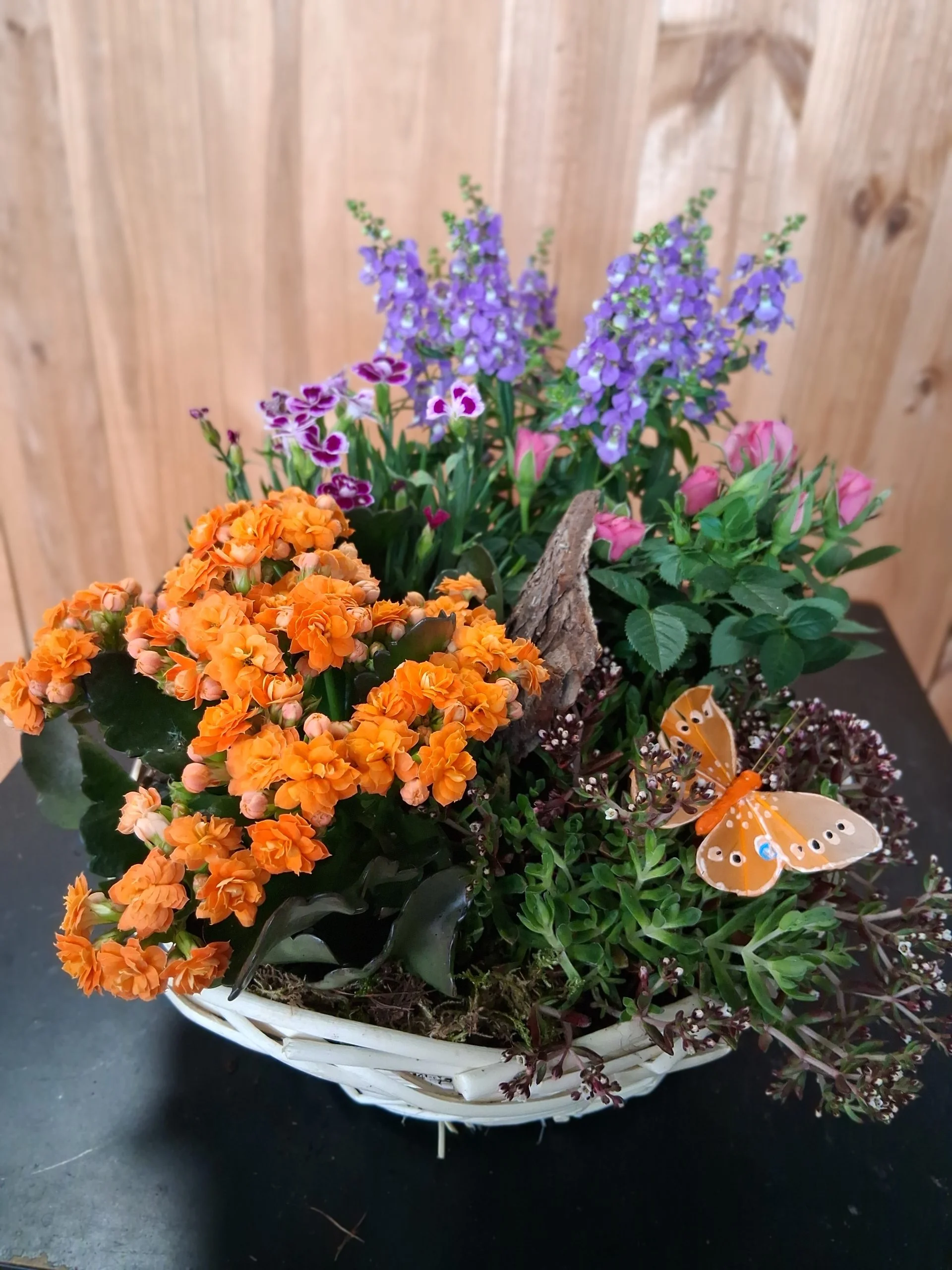 Coupe de Plantes, par Bonheur des fleurs, fleuriste à La Montagne