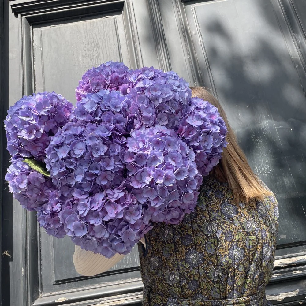Bouquet Hortensia, par Mademoiselle Pivoine, fleuriste à Paris
