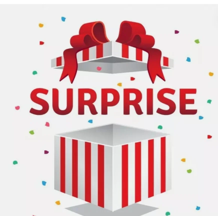 Bouquet surprise rouge et blanc, par Julie Fleurs, fleuriste à Carmaux