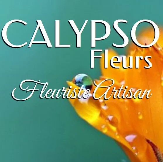 Livraison de fleurs Tournefeuille et proximité, par Calypso Fleurs Tournefeuille, artisan fleuriste