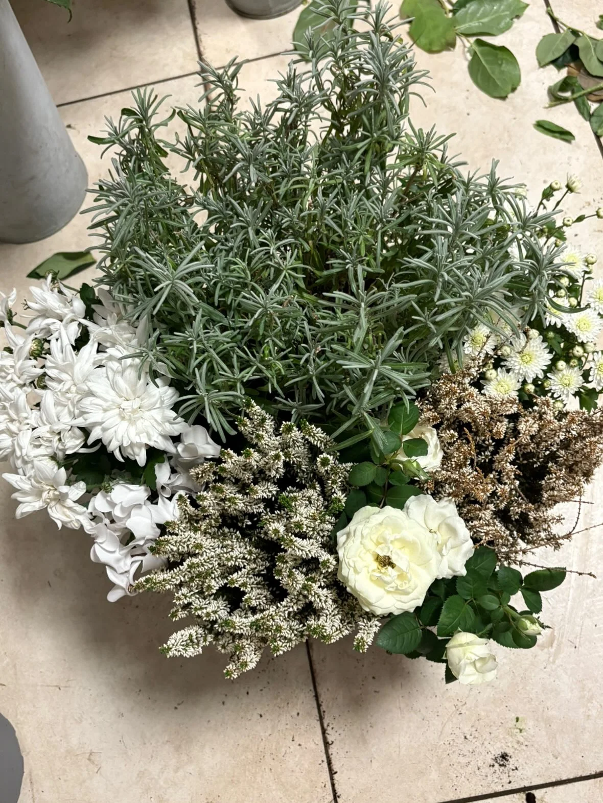 coupe plante grande, par Fleurs et Saveurs Cherbourg, fleuriste à Cherbourg-en-Cotentin