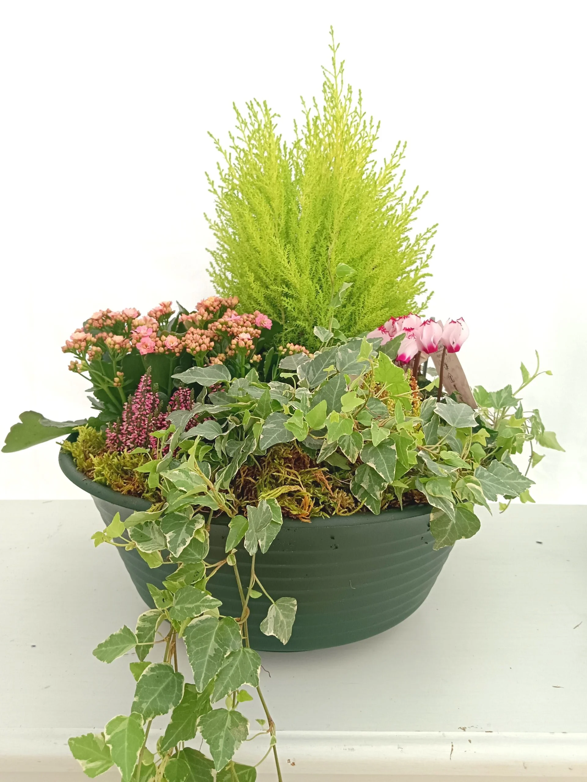 Toussaint Compositions cimetière, par Eclosion Végétale, fleuriste à Pernes-les-Fontaines