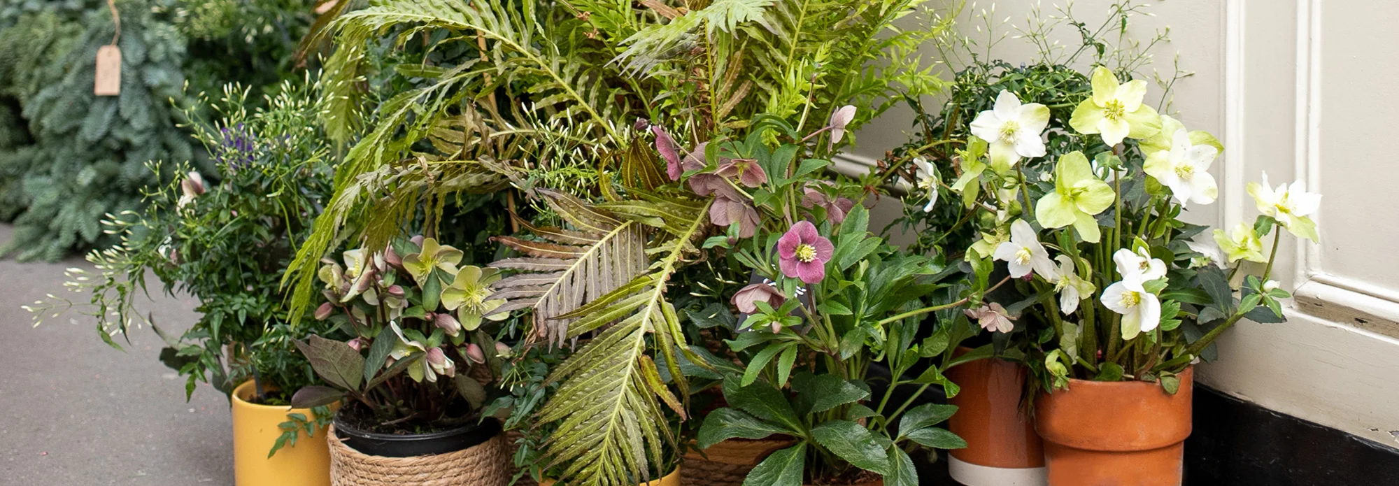 Les plus belles fleurs de saison livrées par votre artisan fleuriste