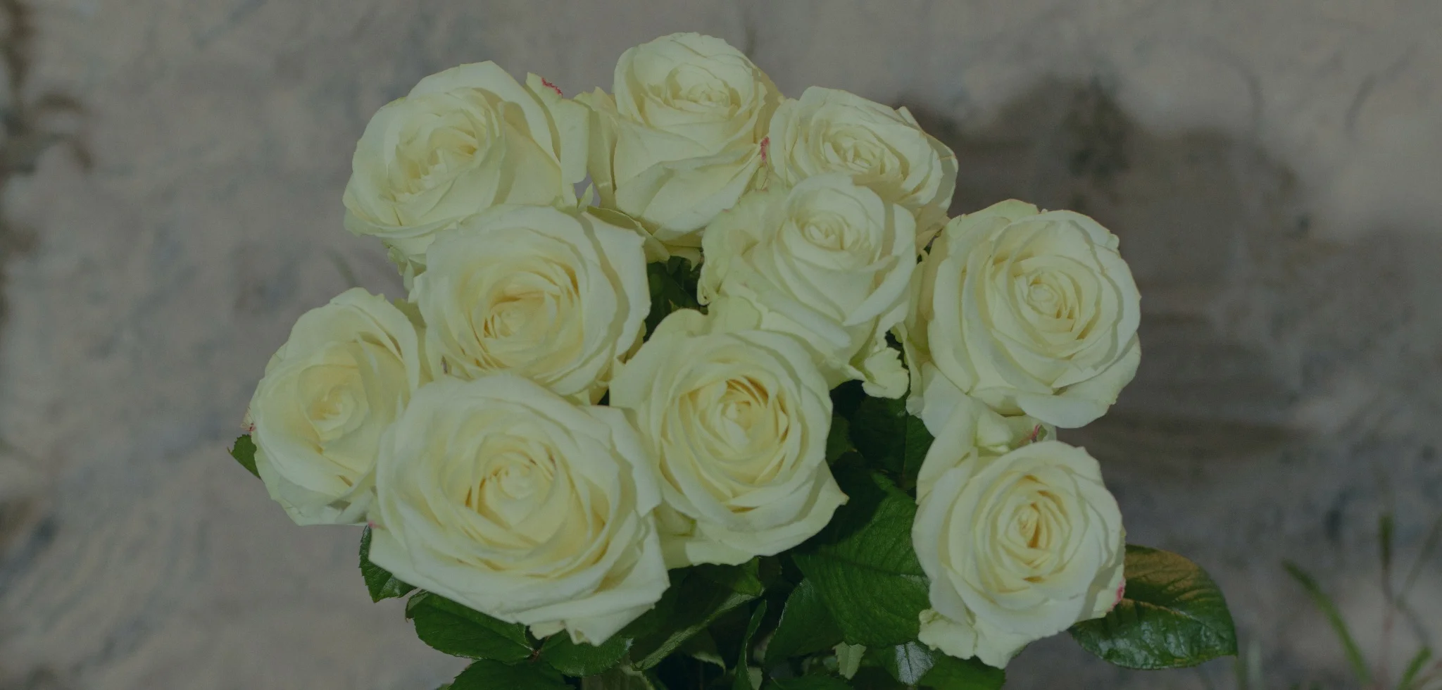 Les plus beaux bouquets de Roses blanches livrés par votre artisan fleuriste