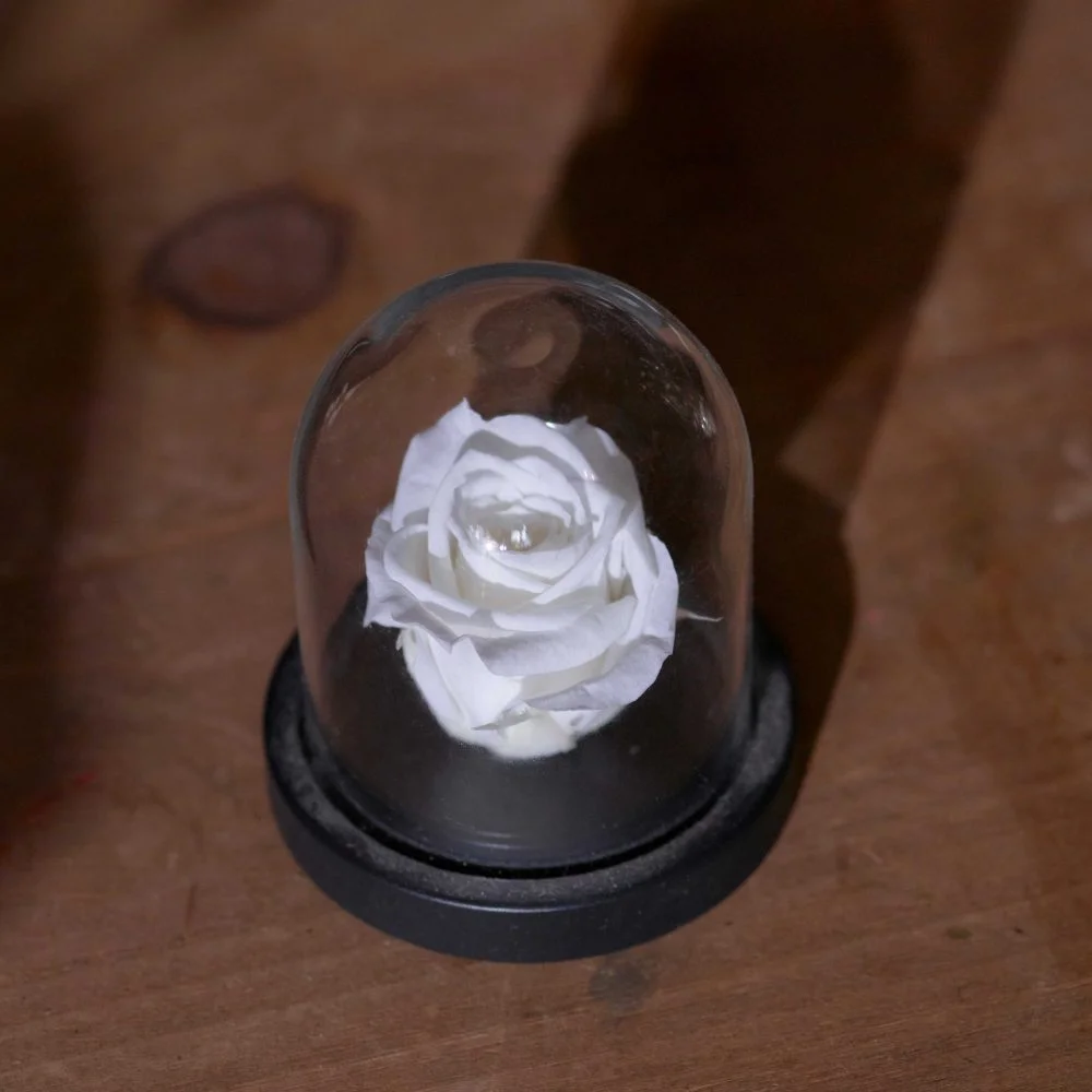 Roses éternelles - Livraison de bouquets de fleurs par vos fleuristes préférés