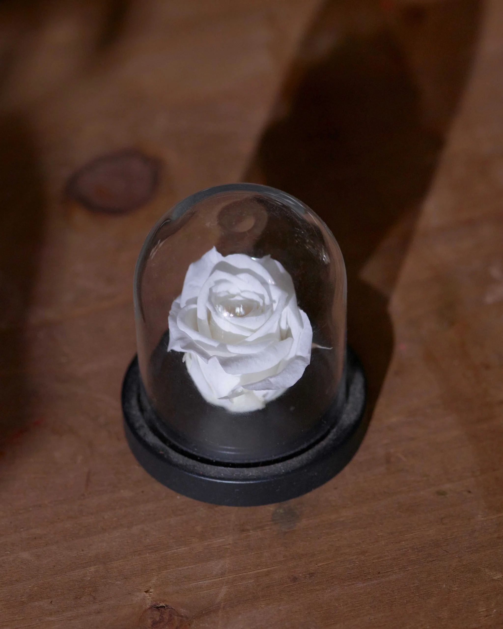 Roses éternelles - Livraison de bouquets de fleurs par vos fleuristes préférés