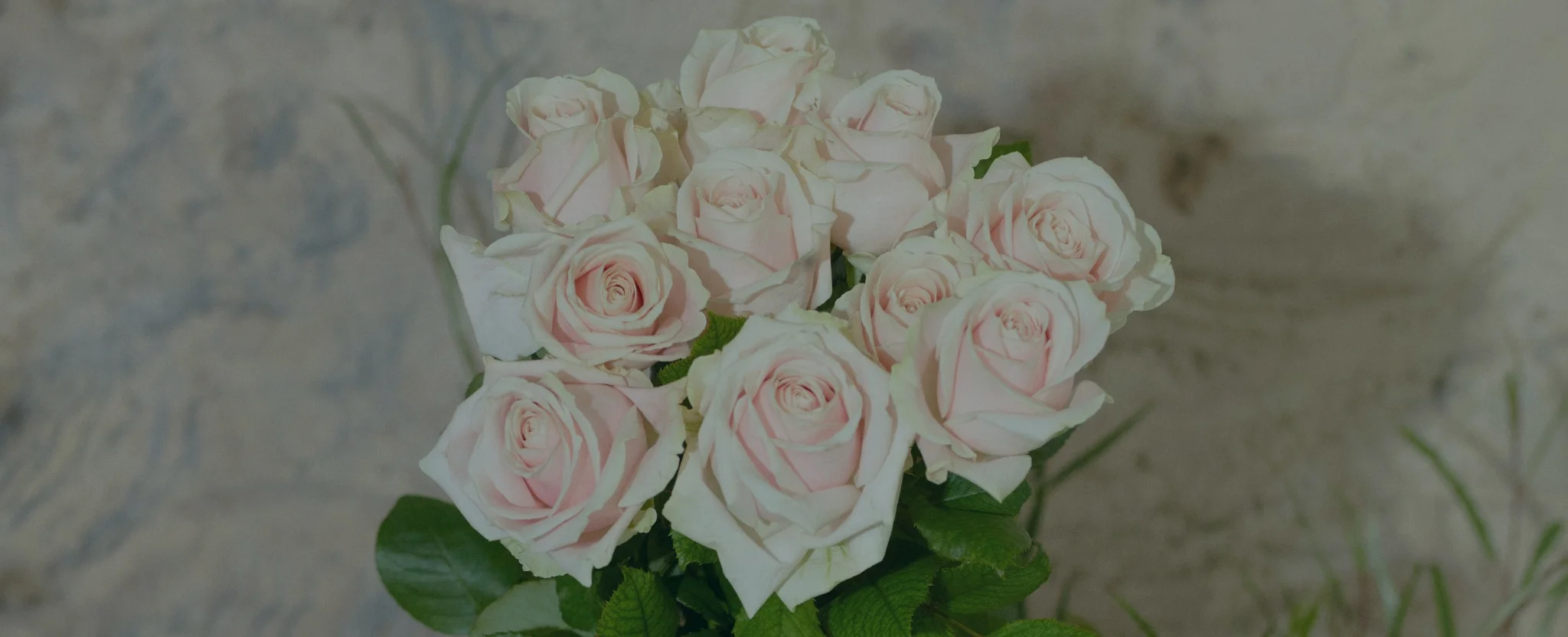 Les plus beaux bouquets de Roses roses livrés par votre artisan fleuriste