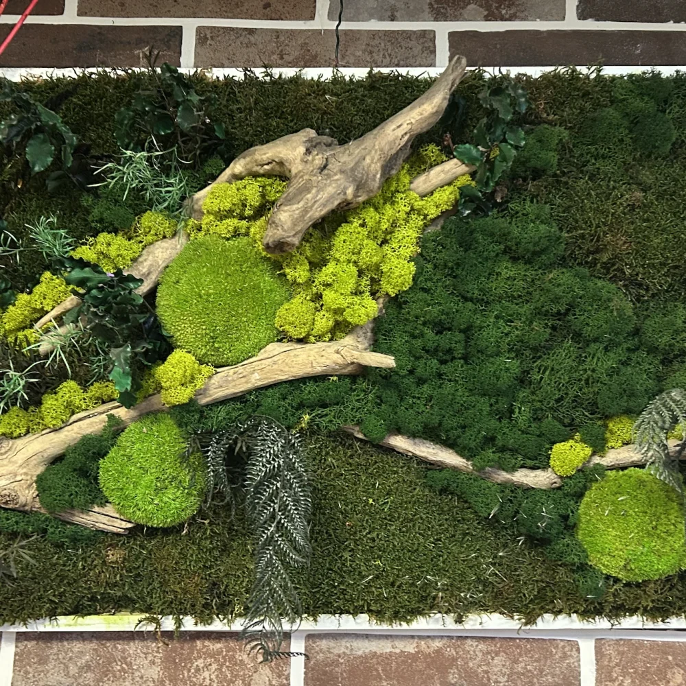 Tableau Stabilisé (végétaux éternels), par Le Comptoir des Fleurs, fleuriste à Castelculier