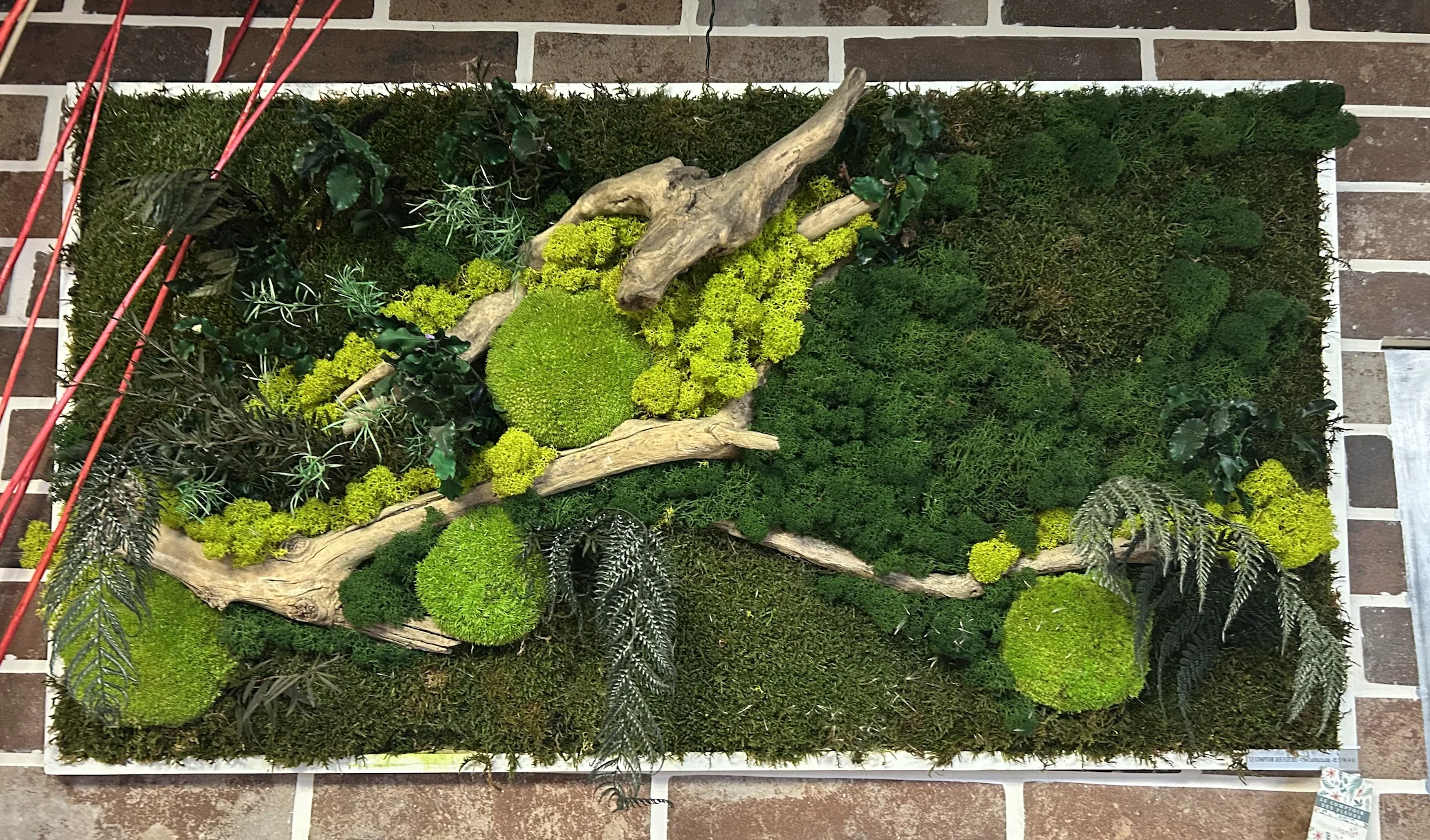 Tableau Stabilisé (végétaux éternels), par Le Comptoir des Fleurs, fleuriste à Castelculier