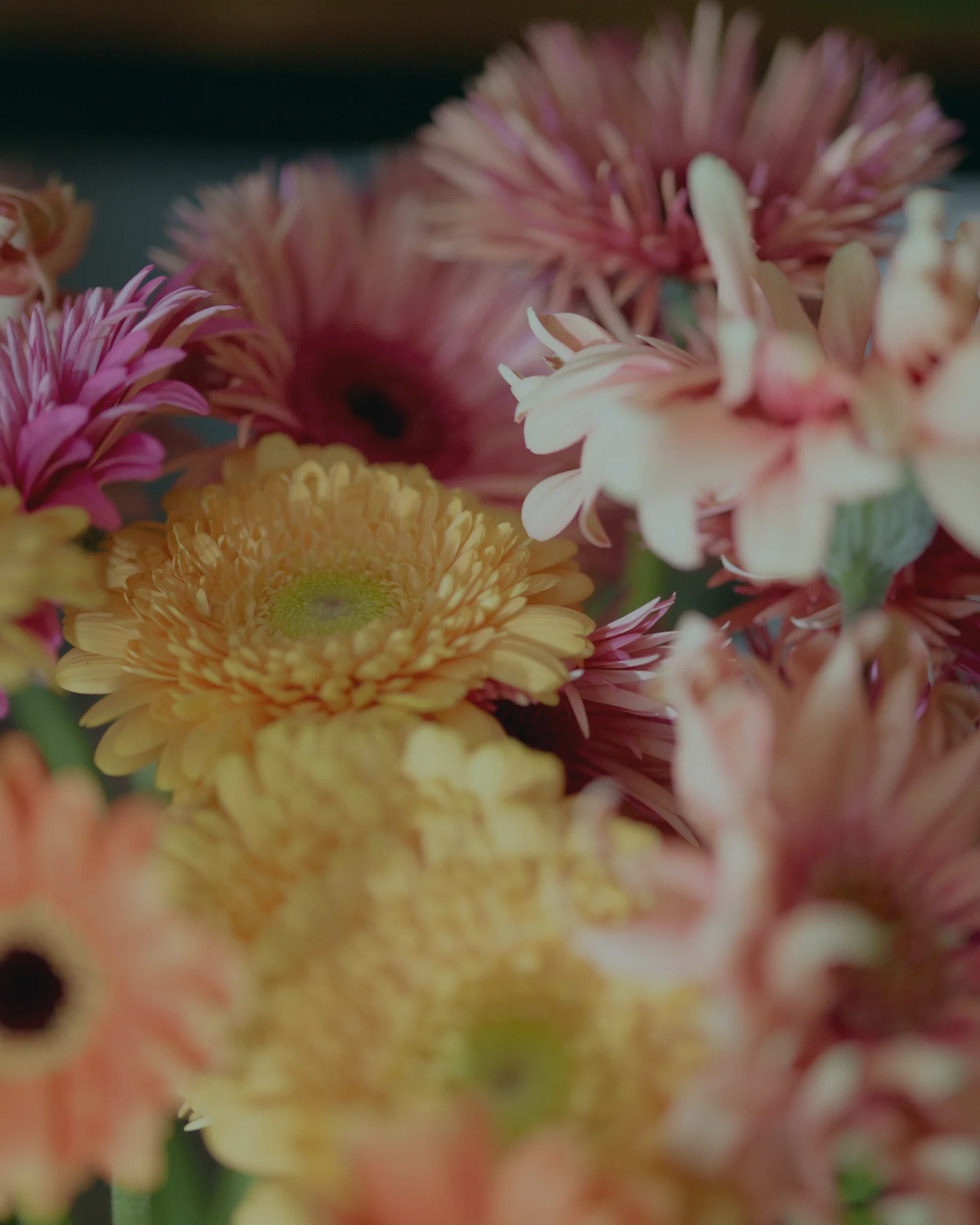 Les plus belles fleurs Françaises/Locales livrées par votre artisan fleuriste