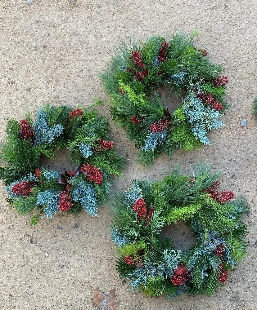 Couronne végétaux mélangés S, par O'kiosque Lyon, fleuriste à Lyon