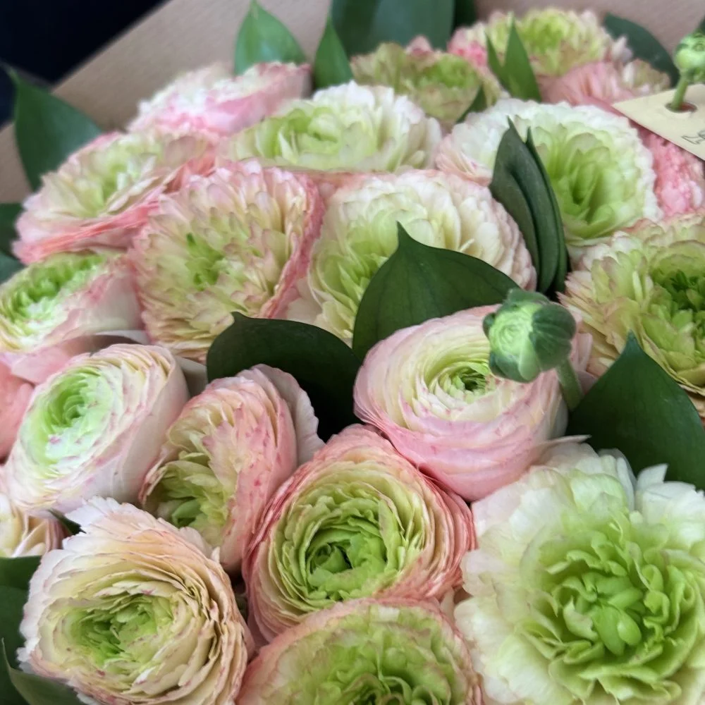 Voile Pastel – l’élégance tendre au naturel, par Au Bouquet de la Reine, fleuriste à Boulogne-Billancourt