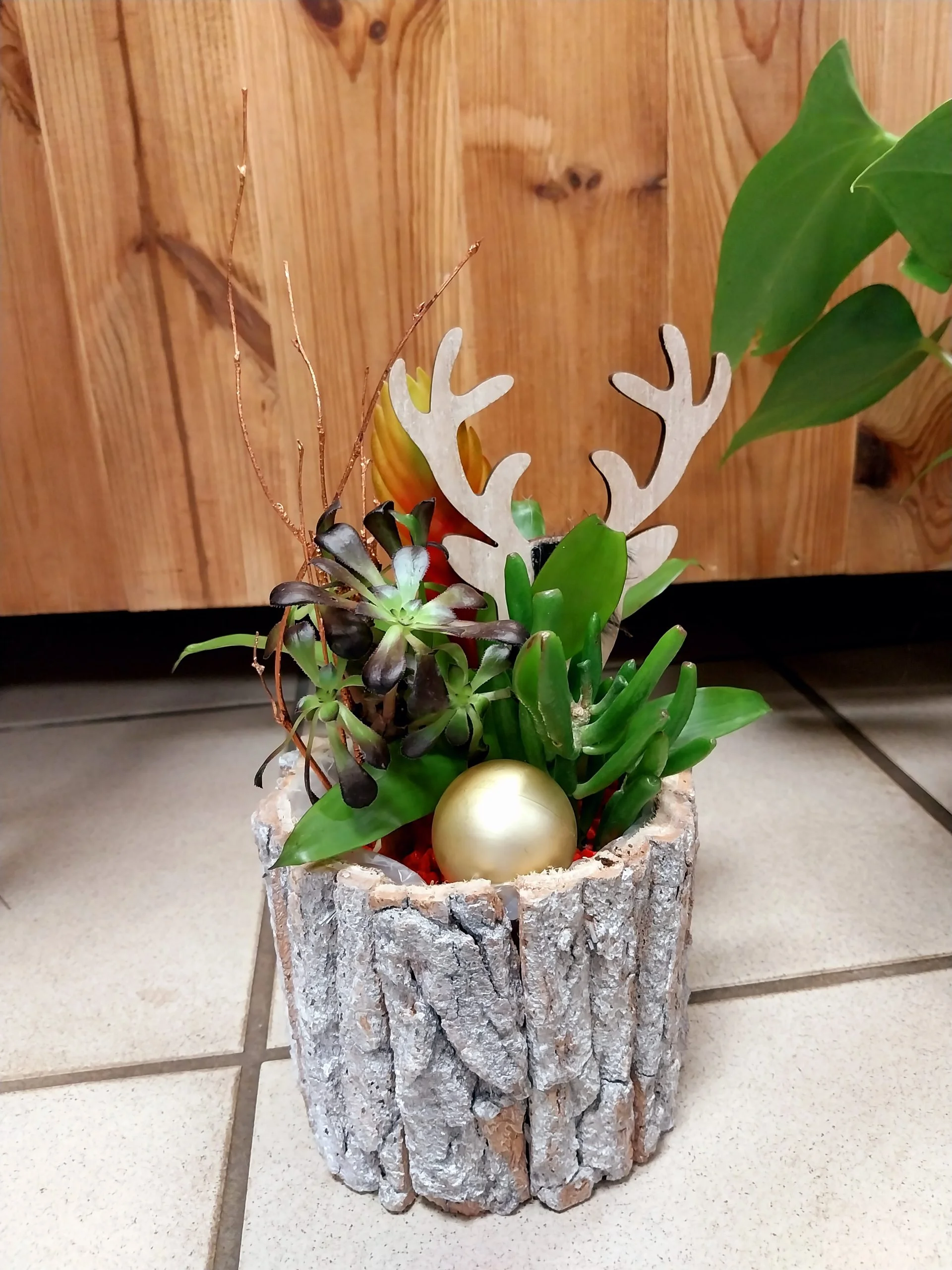 Mini Jardin de Noël, par Montluçon Fleurs, fleuriste à Montluçon
