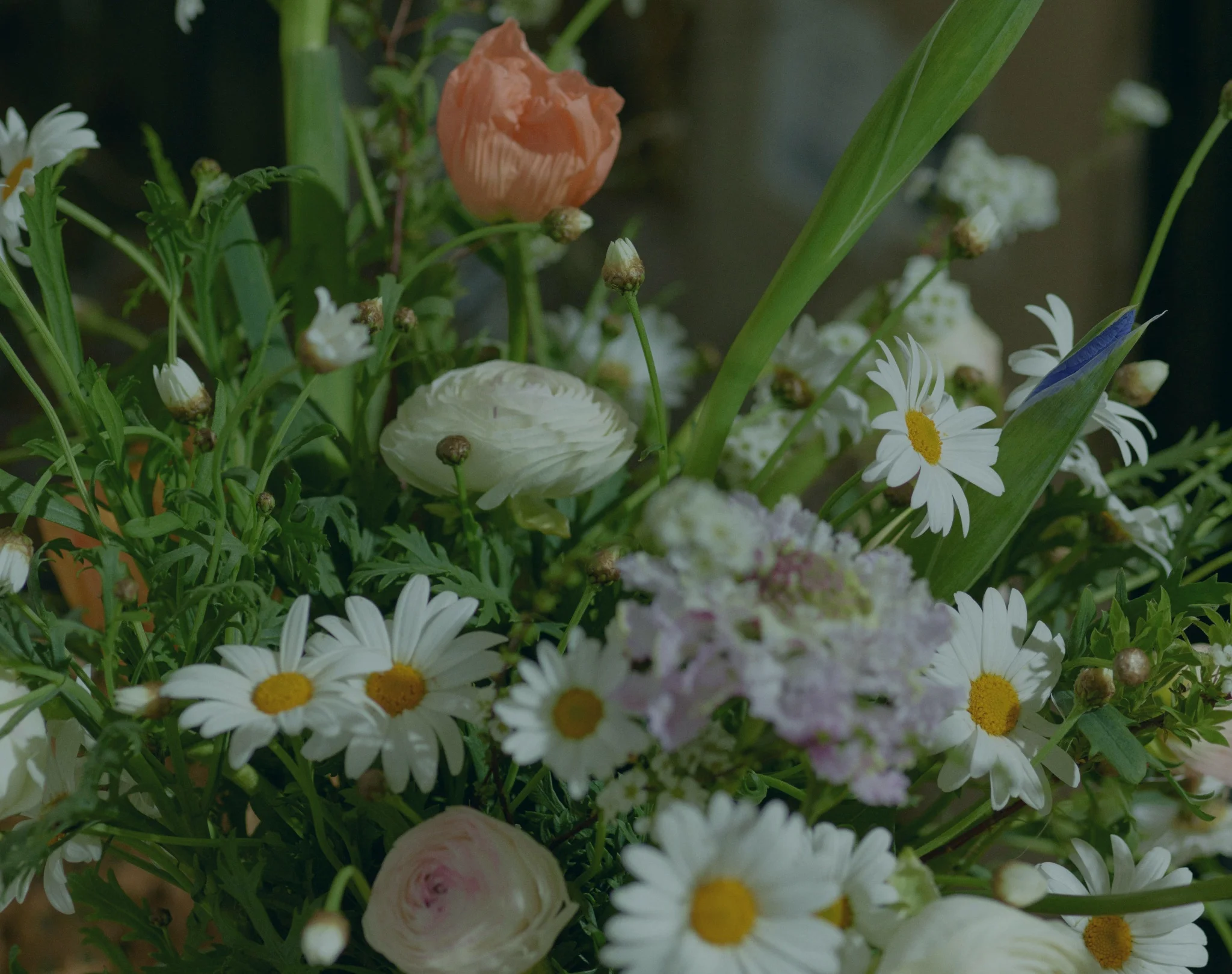 Pour célébrer l'Amitié, les plus belles fleurs livrées par votre artisan fleuriste