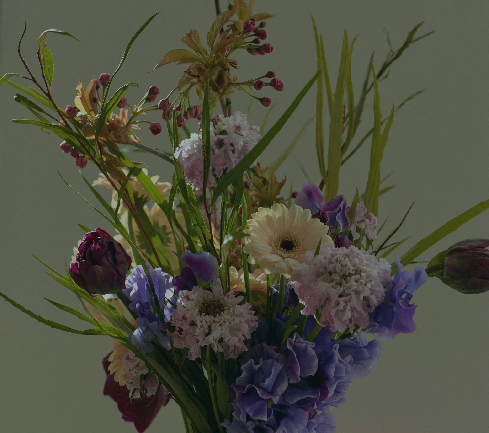 Pour un bon Rétablissement, les plus belles fleurs livrées par votre artisan fleuriste