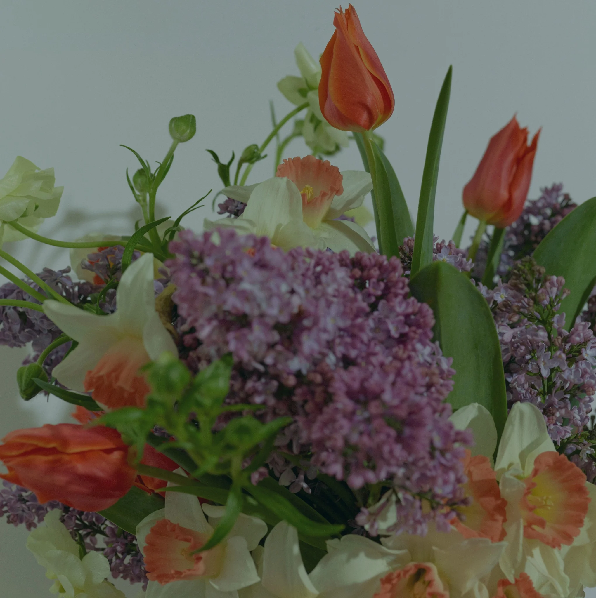 Les plus belles fleurs de Pâques livrées par votre artisan fleuriste