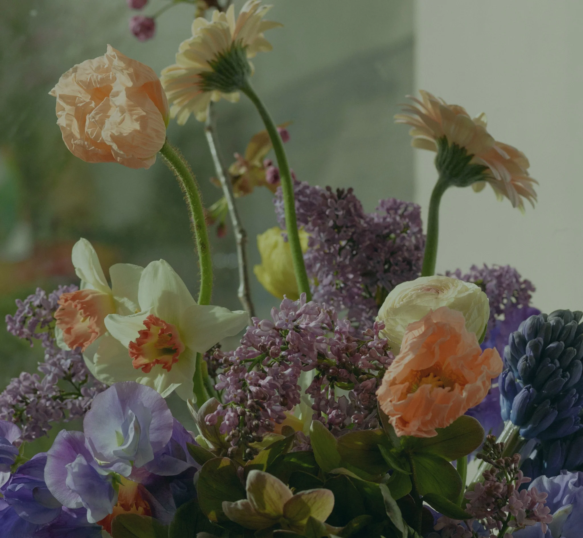 Pour des Félicitations, les plus belles fleurs livrées par votre artisan fleuriste