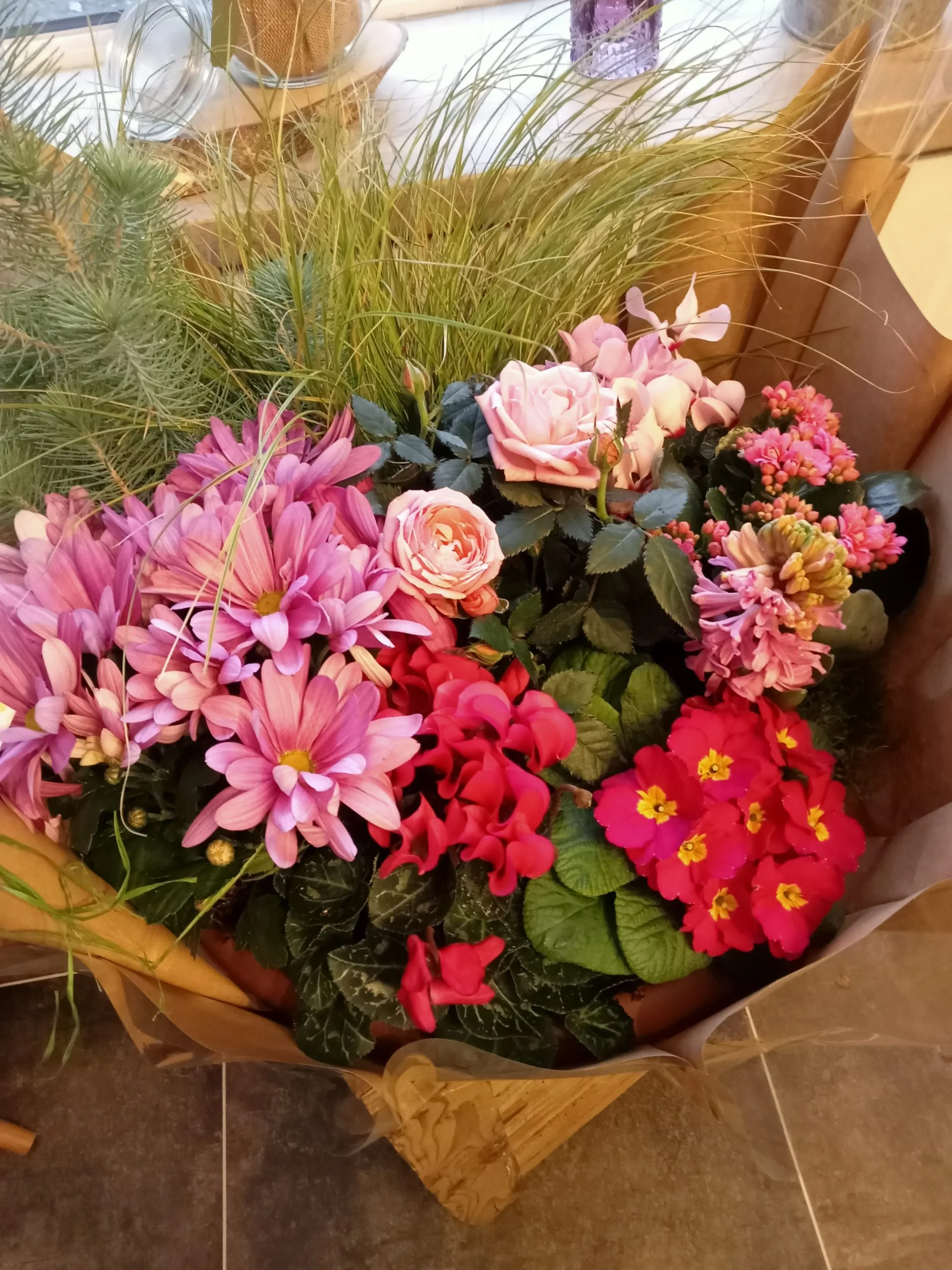 Composition de plantes, par O'Capucines, fleuriste à Quimper