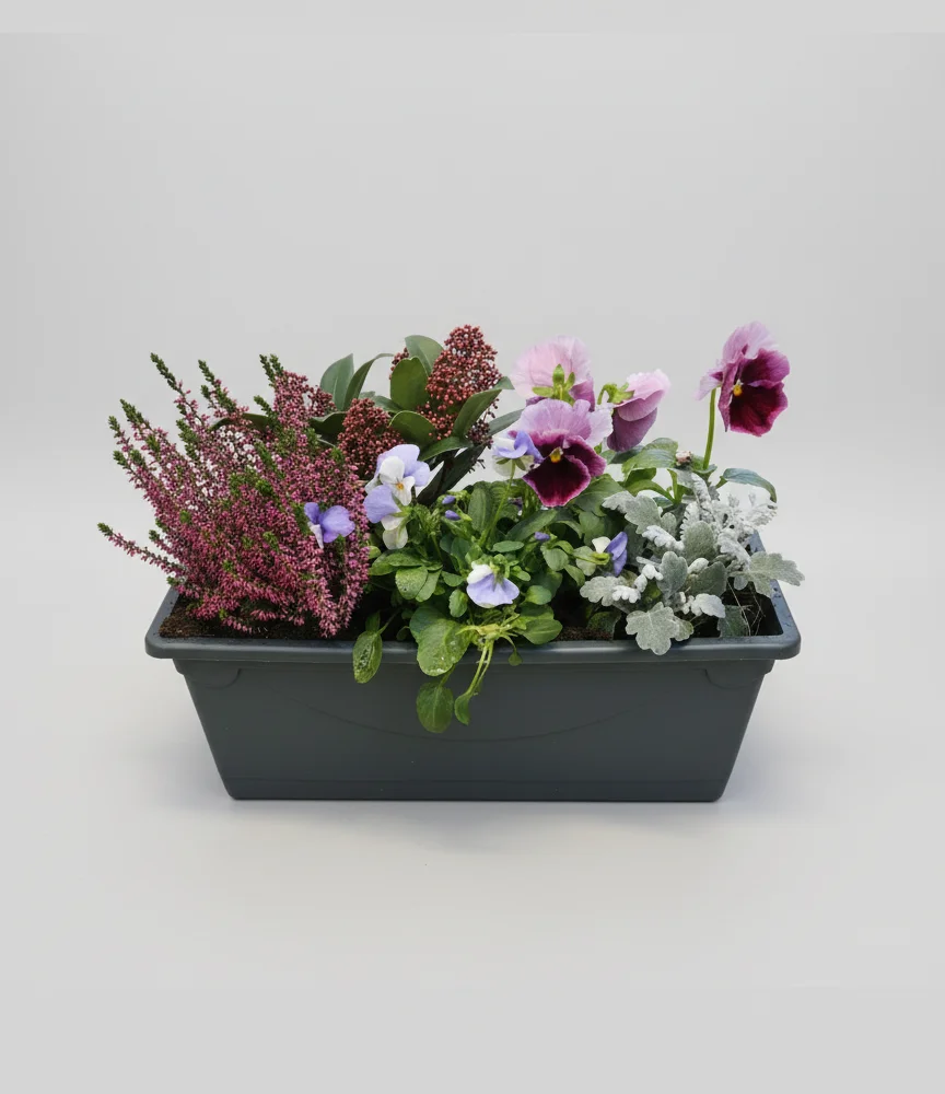 Jardinière plantes d'hiver, par La Nature en Fleurs, fleuriste à Toul