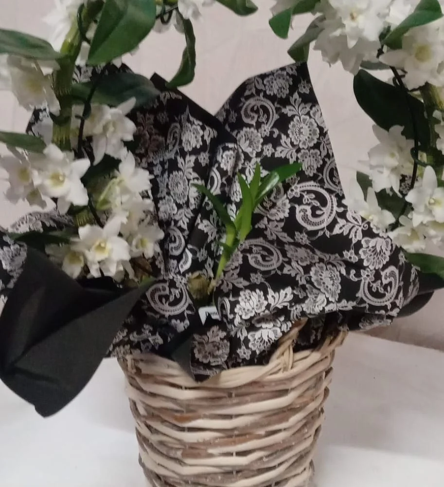 Orchidée Dendrobium, par Au Dipladenia, fleuriste à Lille
