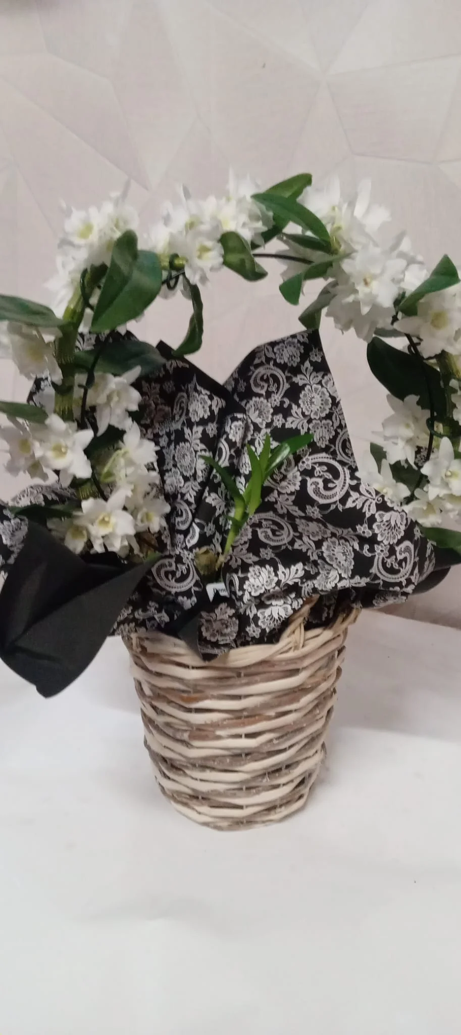 Orchidée Dendrobium, par Au Dipladenia, fleuriste à Lille