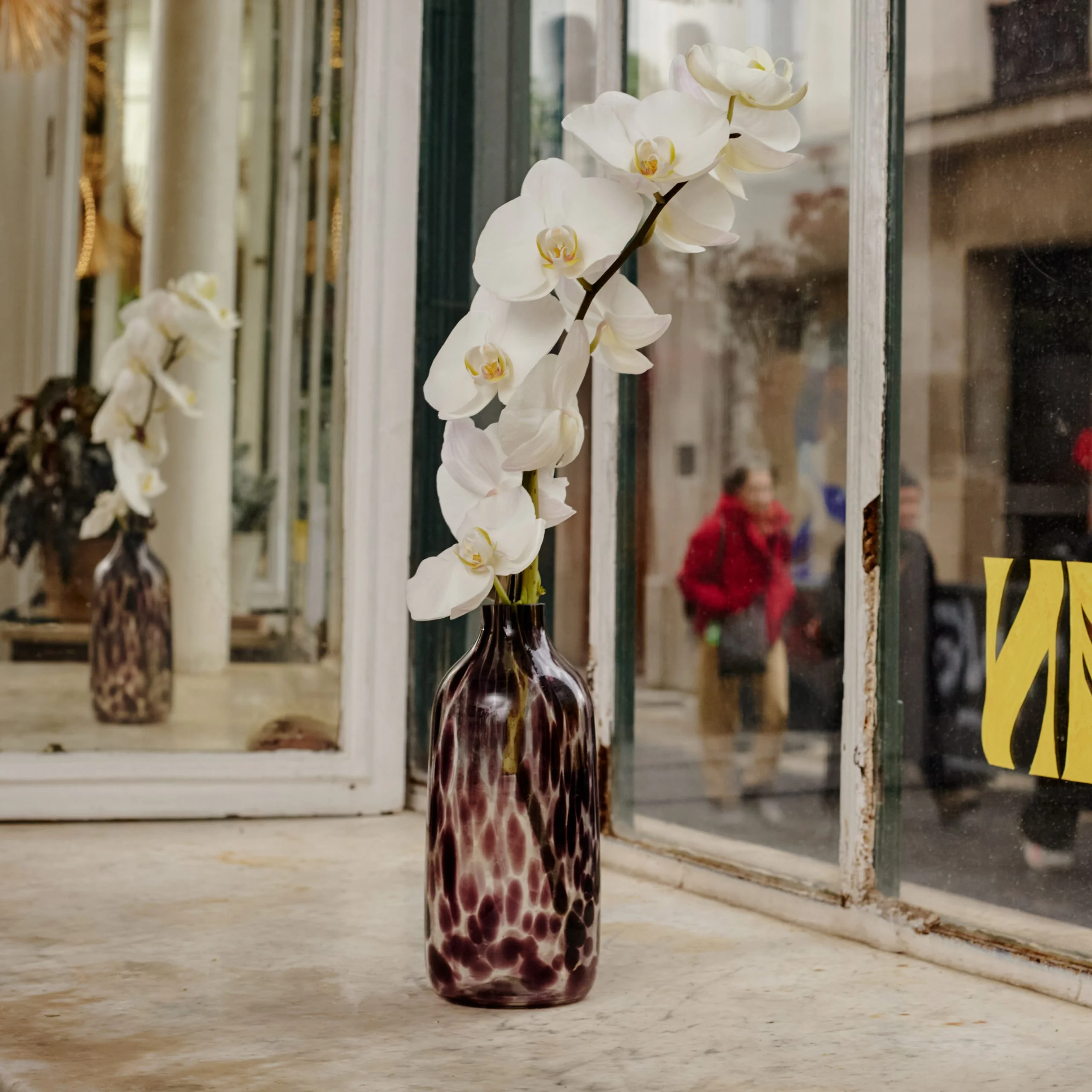 Orchidée, par La Lunaire fleuriste, fleuriste à Boucau