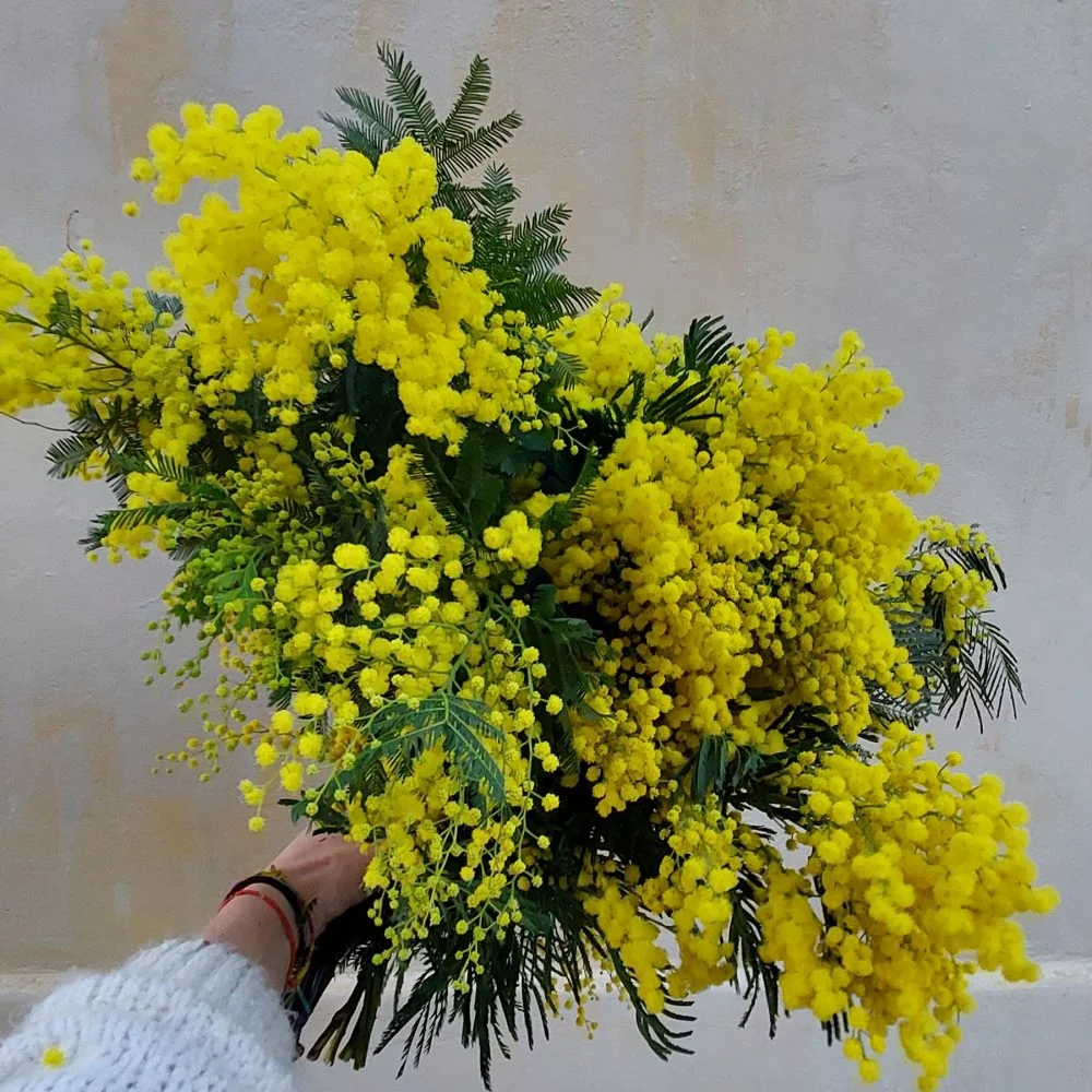 Bouquet de Mimosa, par Green Lab, fleuriste à Aix-en-Provence