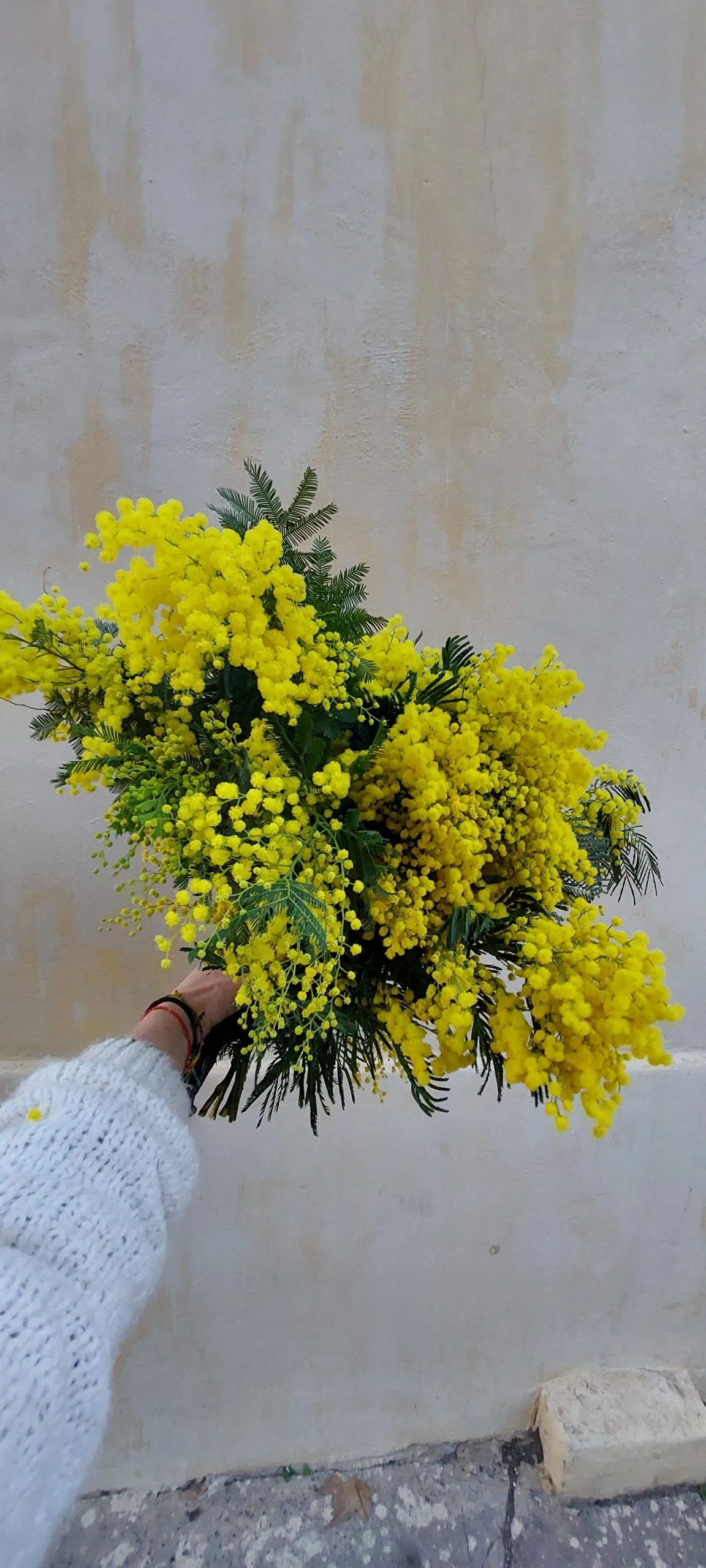 Bouquet de Mimosa, par Green Lab, fleuriste à Aix-en-Provence