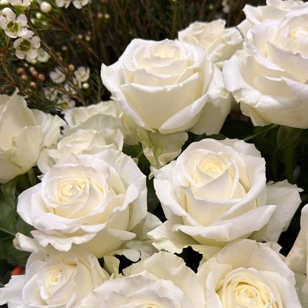 Bouquet de Roses blanches, par Fleurs d’élégance, fleuriste à Caen