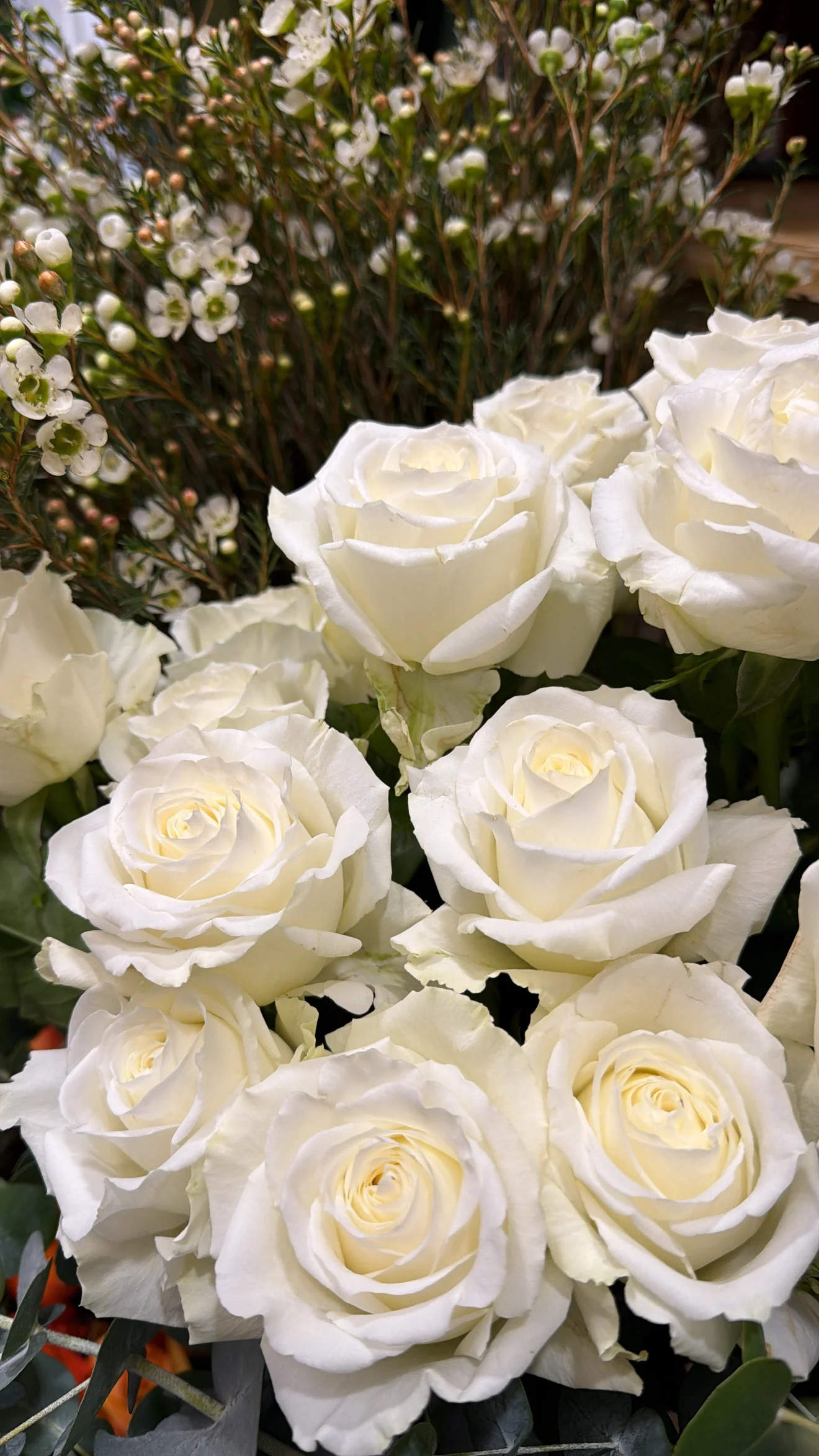 Bouquet de Roses blanches, par Fleurs d’élégance, fleuriste à Caen