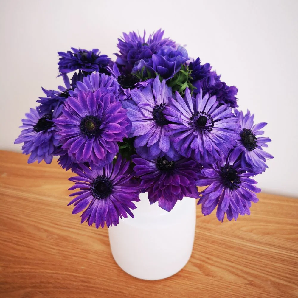 Bouquet d'Anémones, par Les Rêveries d'Elise - Studio floral, fleuriste à Aix-en-Provence