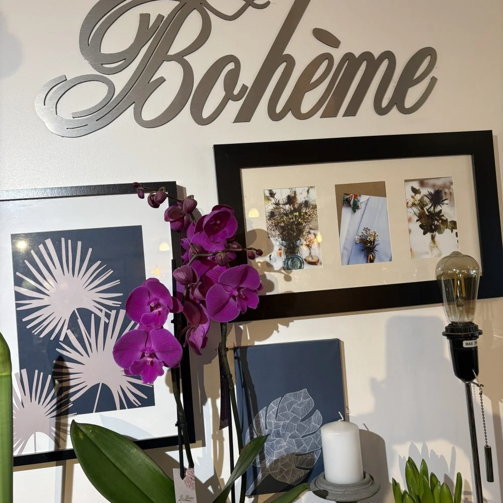 Orchidée, par La Bohème Epagny Metz-Tessy, fleuriste à Epagny Metz-Tessy