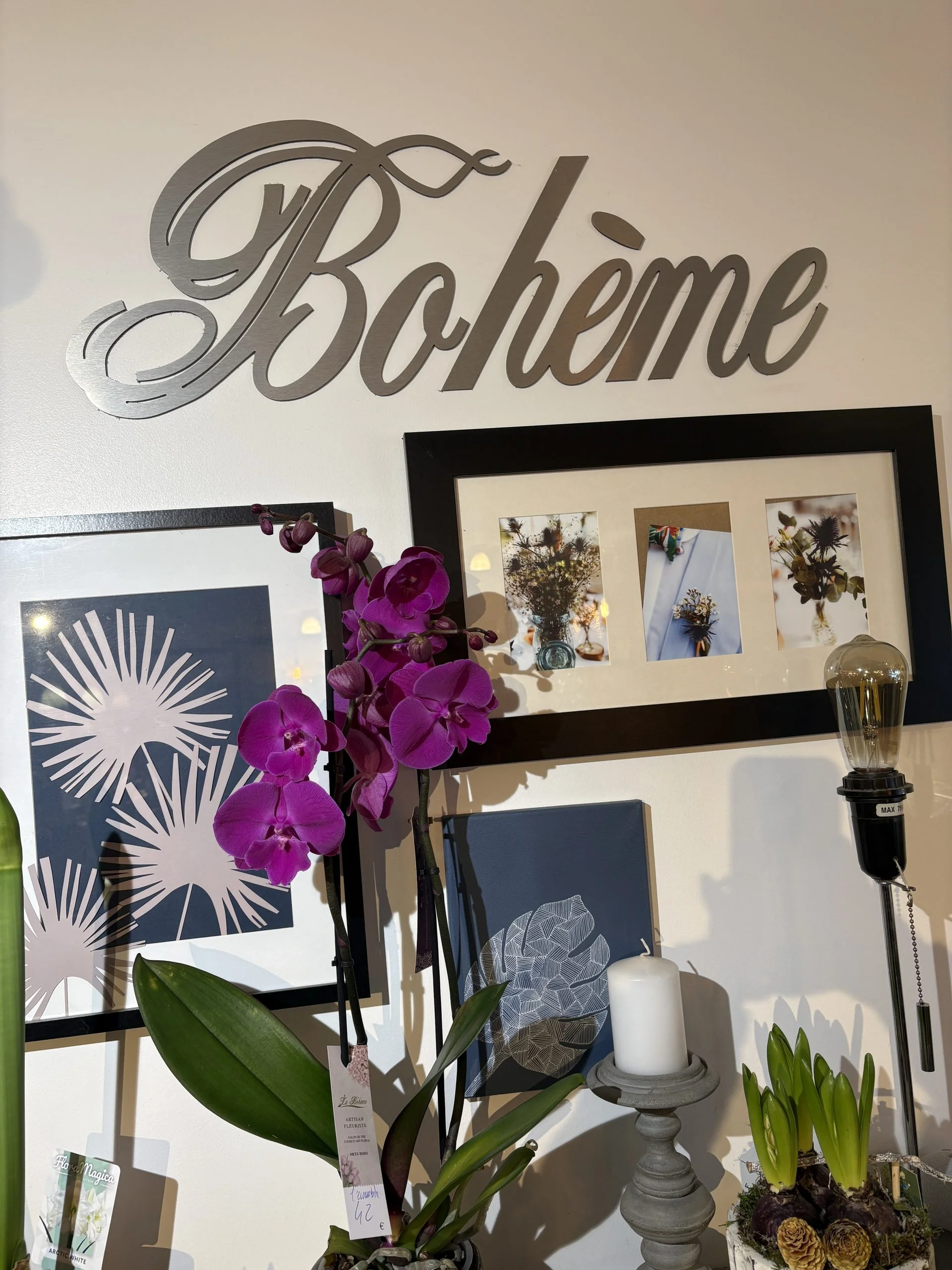 Orchidée, par La Bohème Epagny Metz-Tessy, fleuriste à Epagny Metz-Tessy