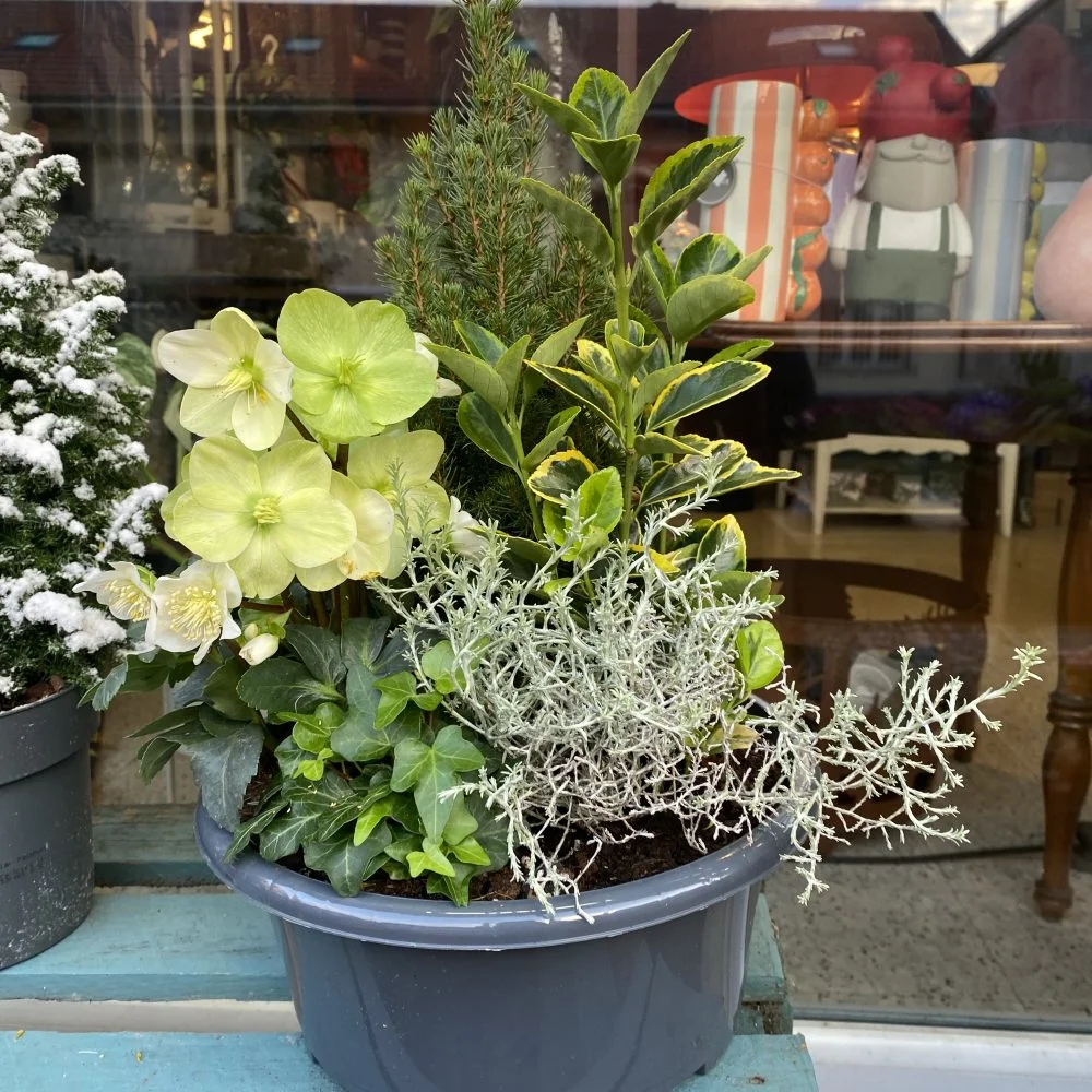 Coupe de plantes du fleuriste, par Histoire de Fleurs Rougemont, fleuriste à Rougemont