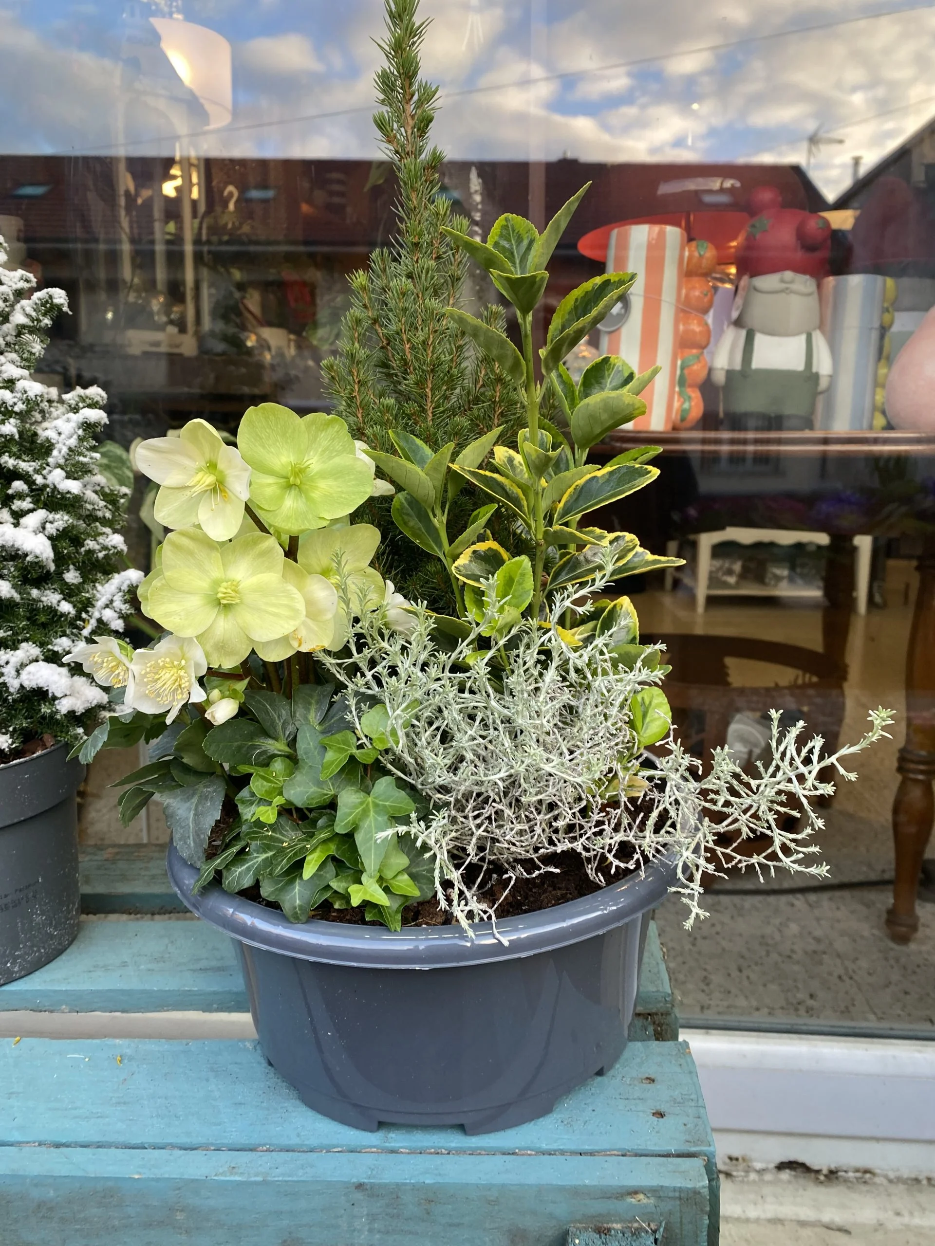 Coupe de plantes du fleuriste, par Histoire de Fleurs Rougemont, fleuriste à Rougemont