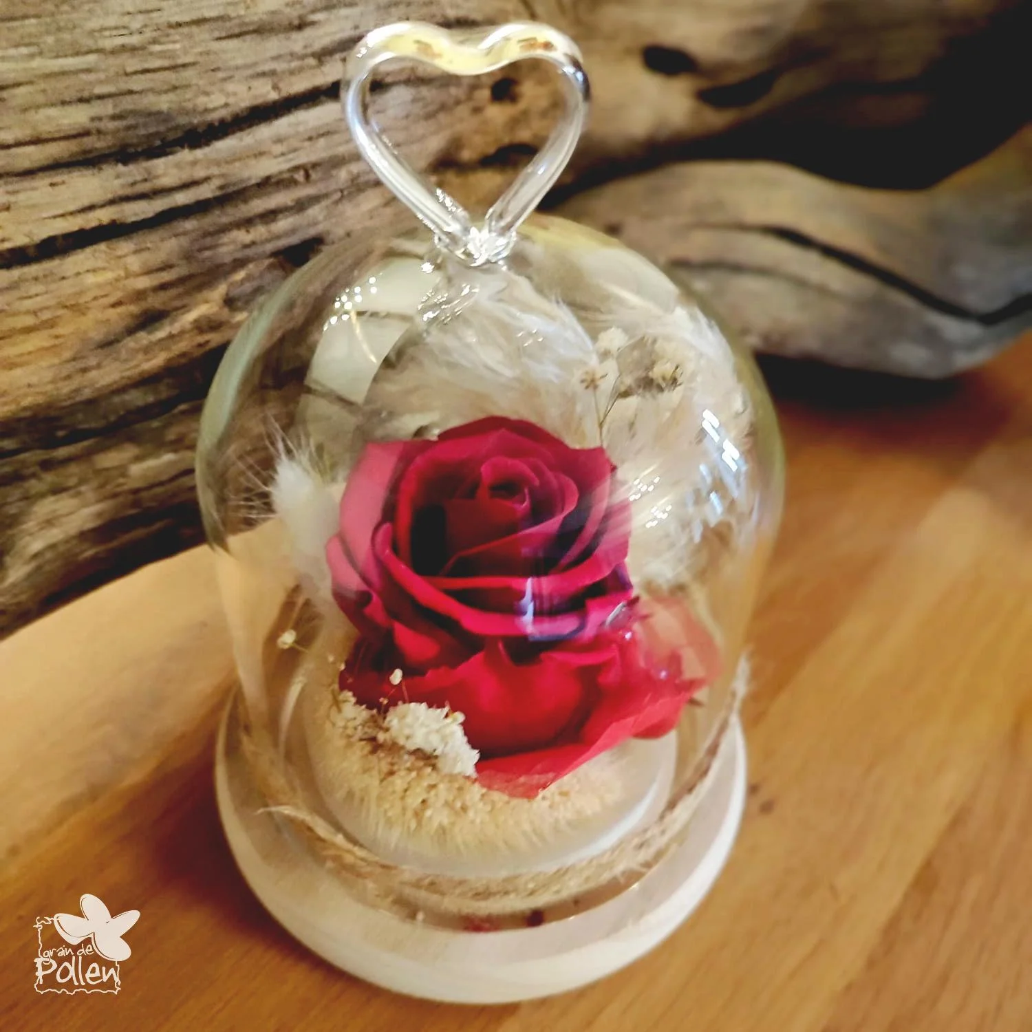 Rose rouge éternelle sous cloche – Saint-Valentin, par Grain de Pollen, fleuriste à Couëron