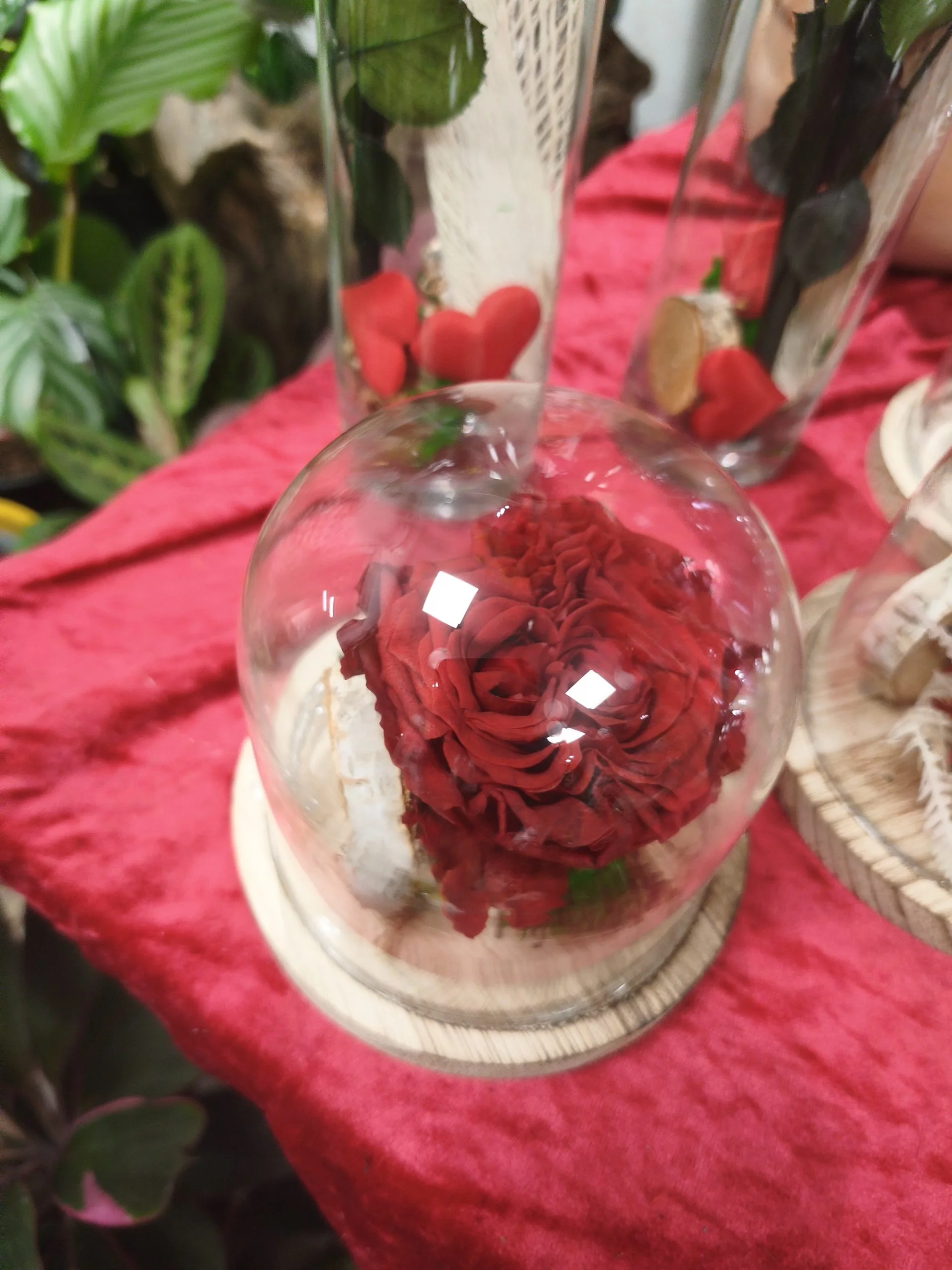 Rose eternelle, par A Little Flower, fleuriste à Saint-Sulpice-sur-Lèze