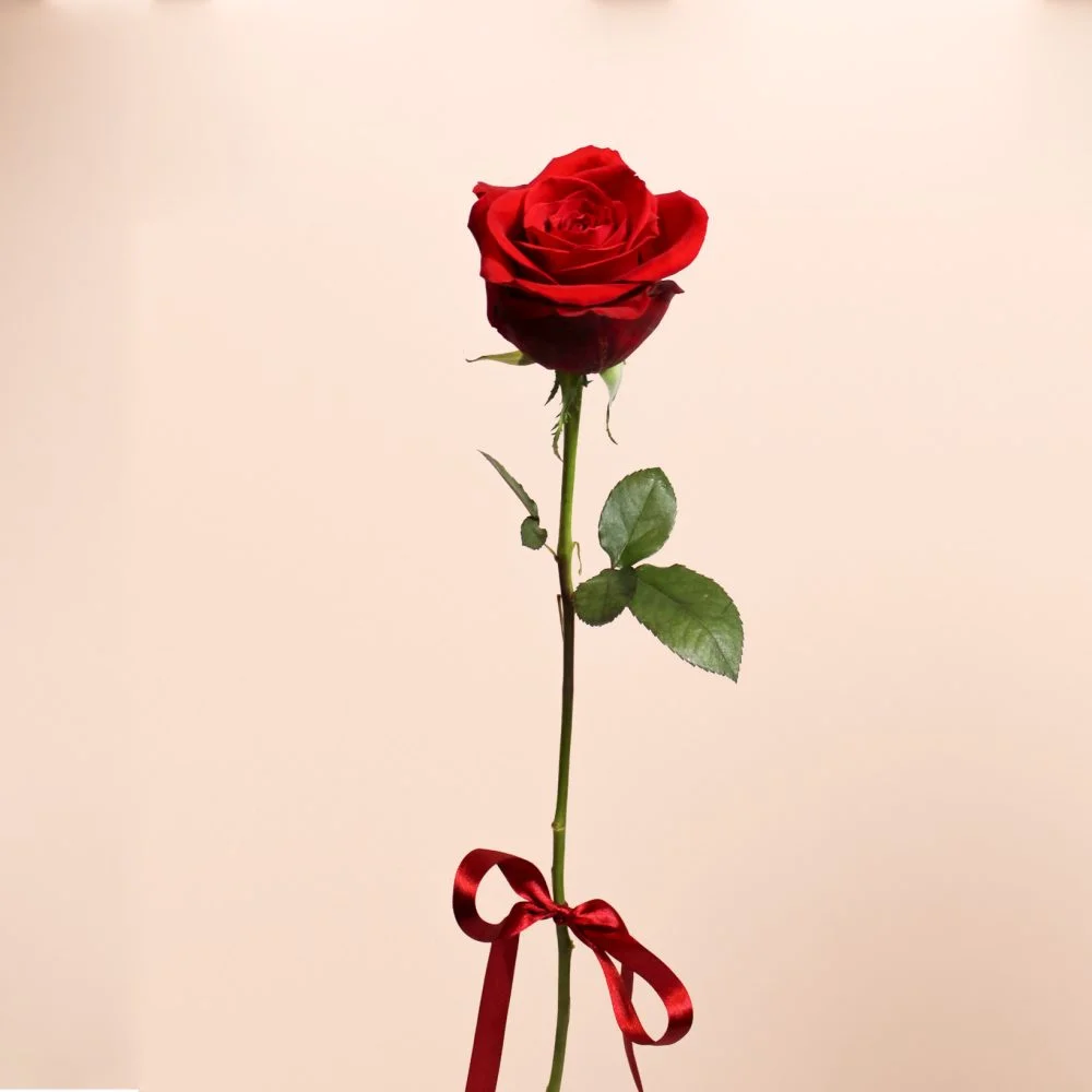 Rose éternelle, par Les Fleurs de Lutece, fleuriste à Paris