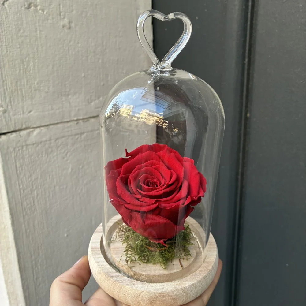 Rose éternelle sous cloche, par La Rose d'Or, fleuriste à Ollioules